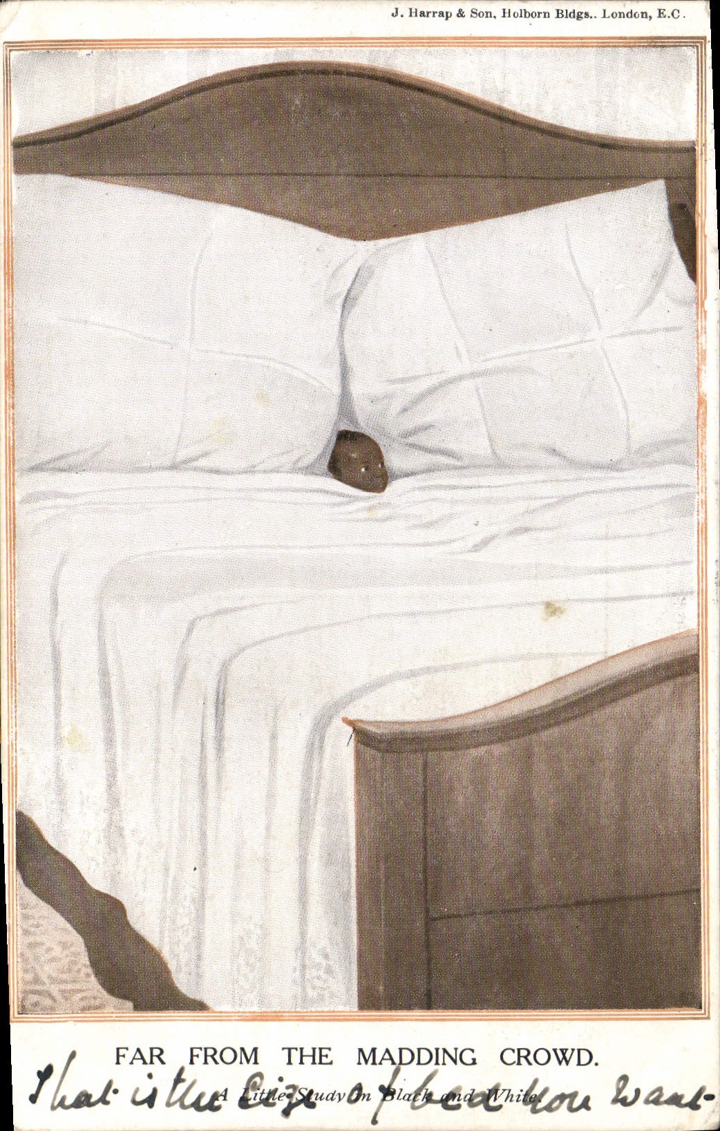 CPA Negre Enfant de couleur Far from the madding crowd