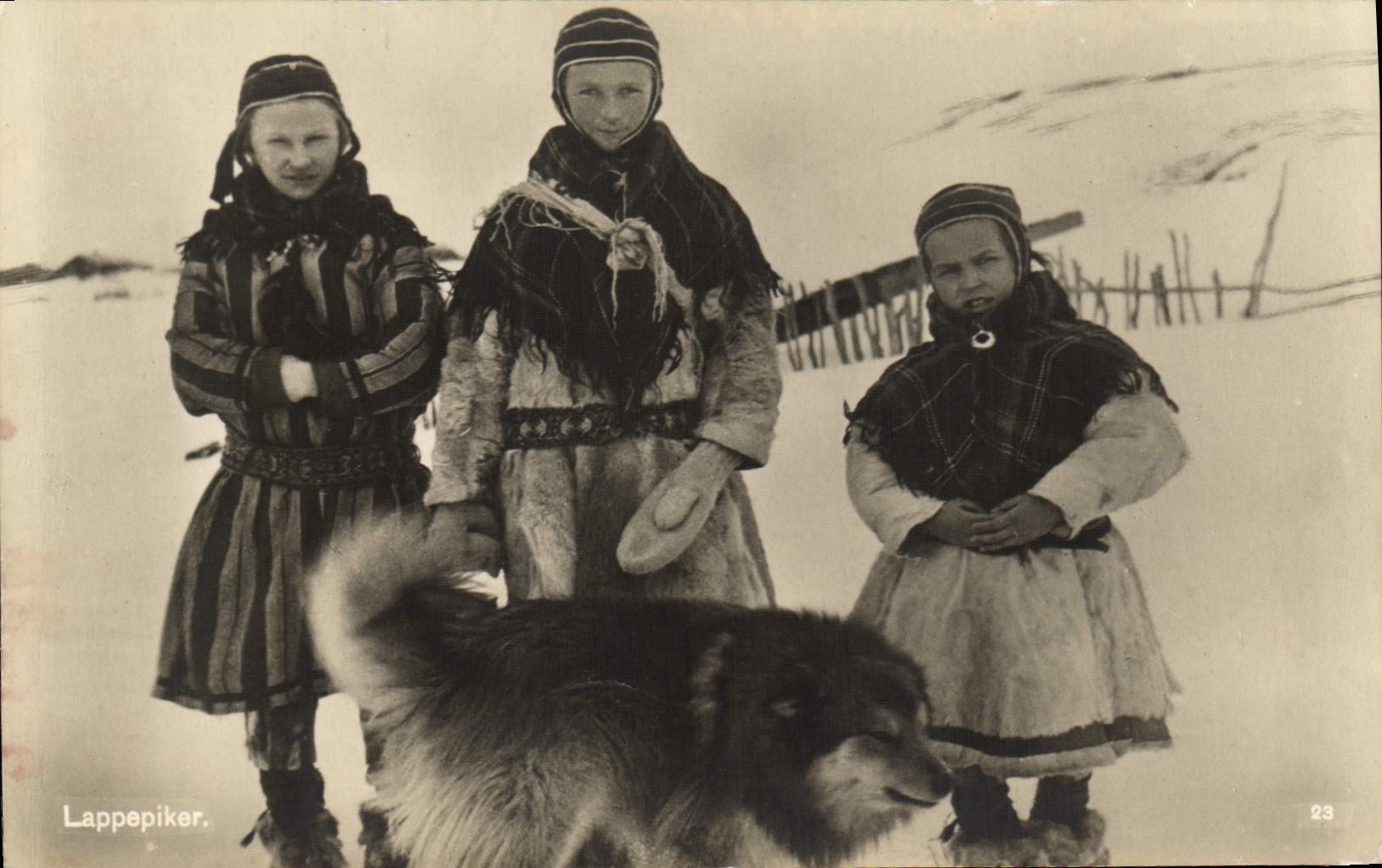 VINTAGE POSTCARD Lappepiker Huskies