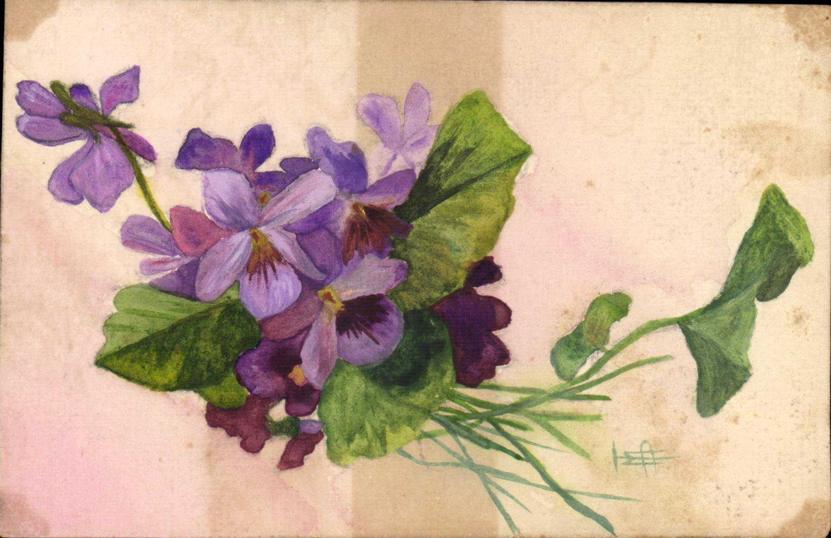 CPA Fleurs (dessin a la main) 