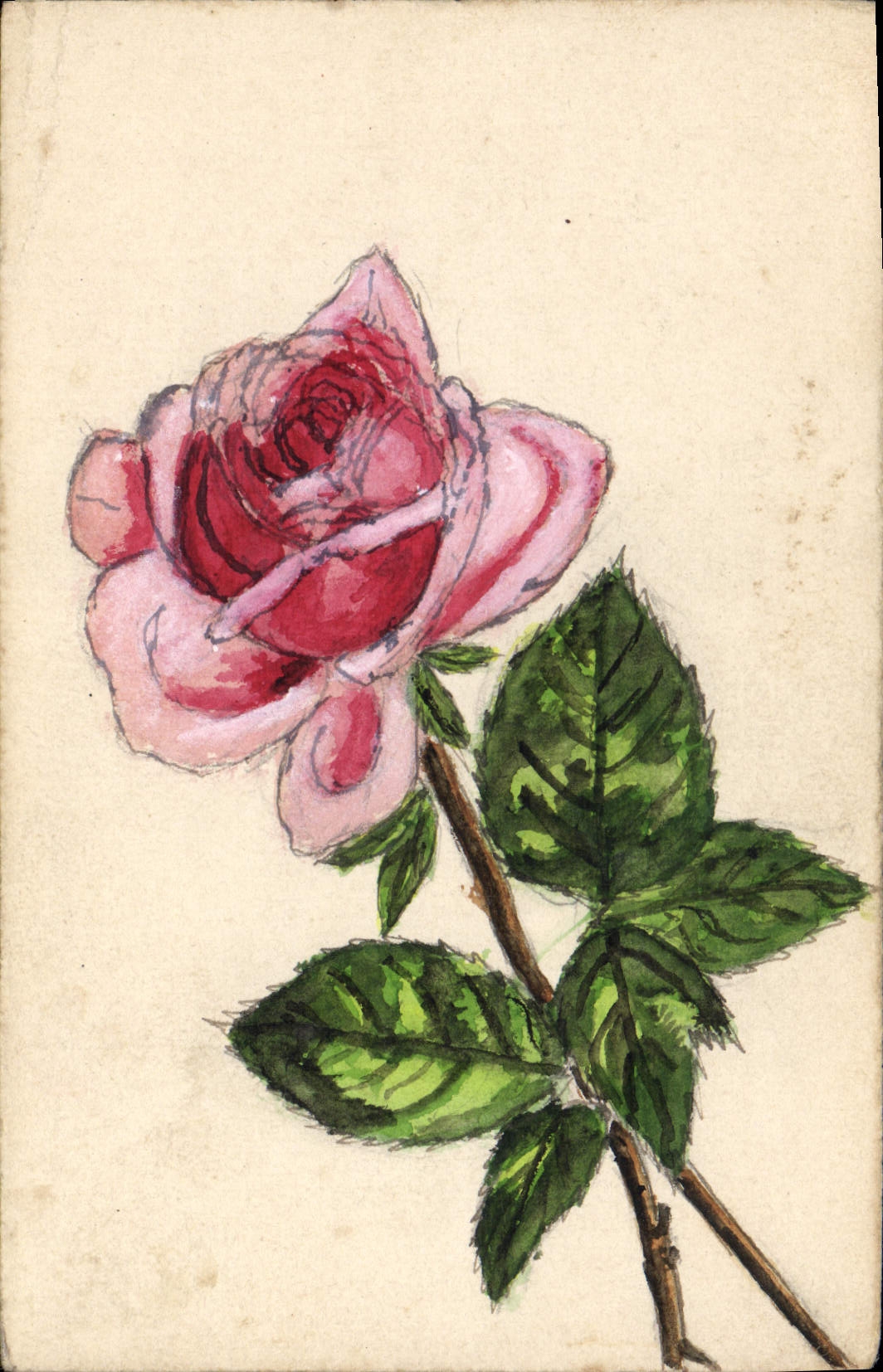 CPA Fleurs (dessin a la main) 