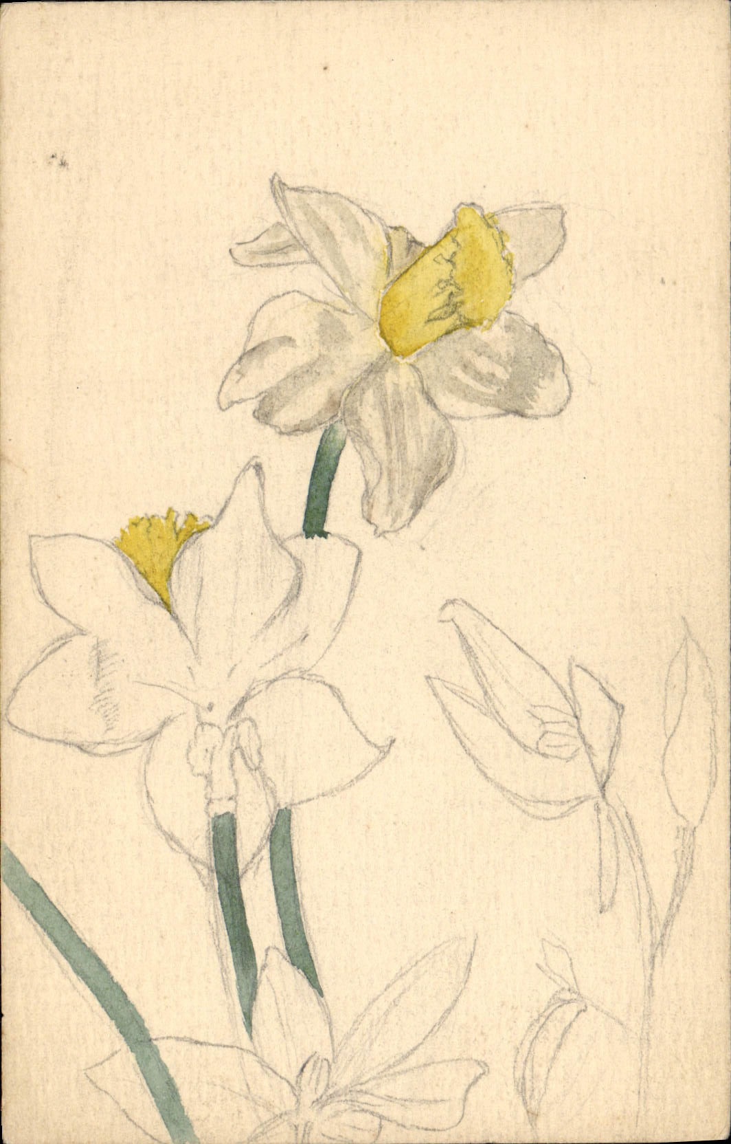 CPA Fleurs (dessin a la main) 