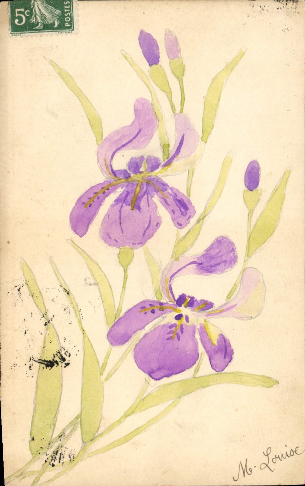 CPA Fleurs (dessin a la main) 