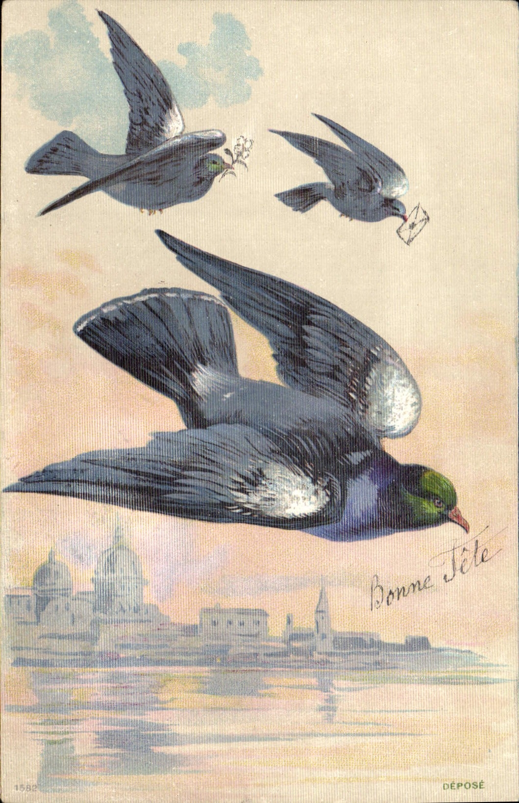 CPA Colombophilie Pigeons