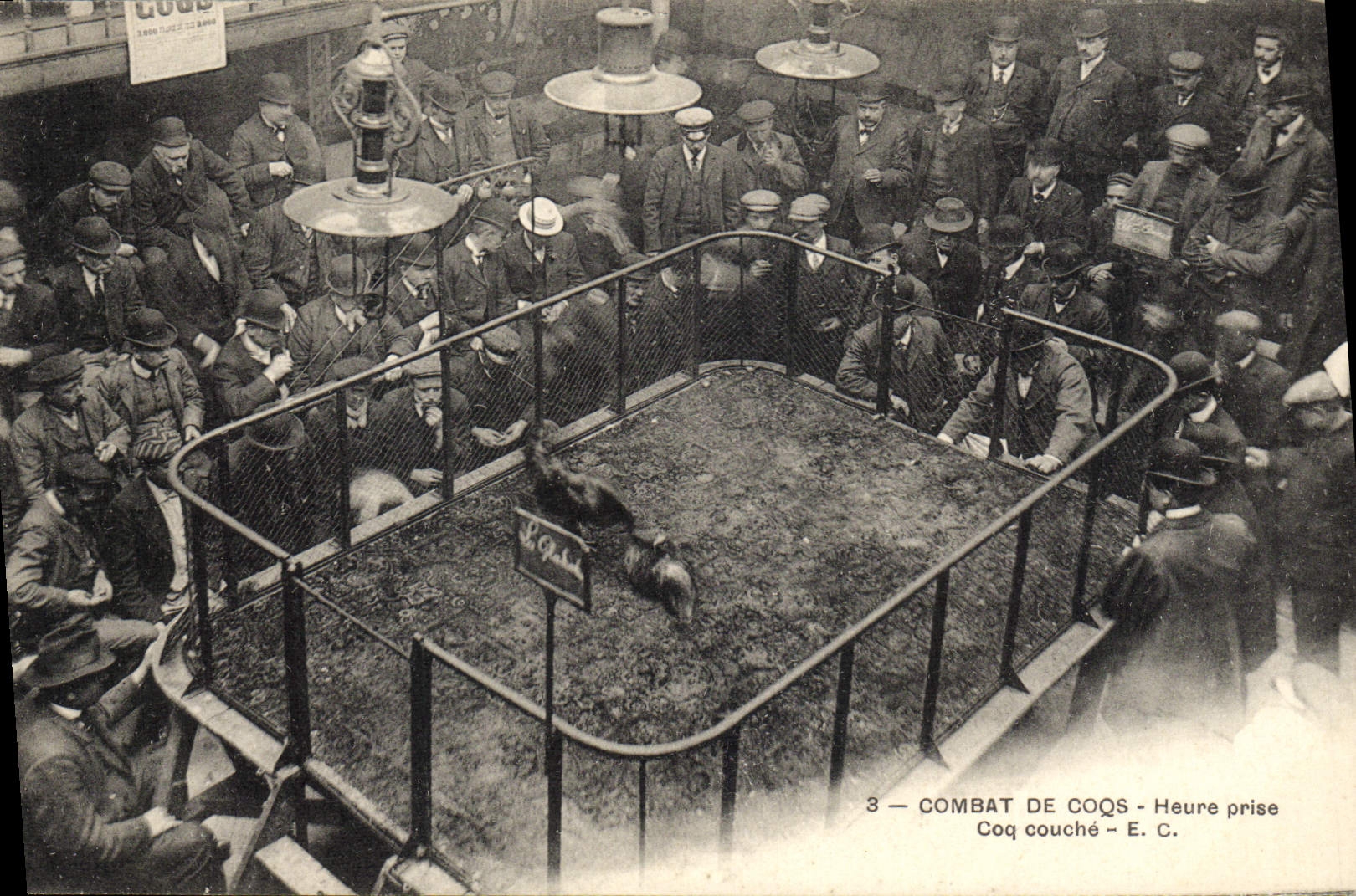 CPA Combat de coqs Heure prise coq couche TOP