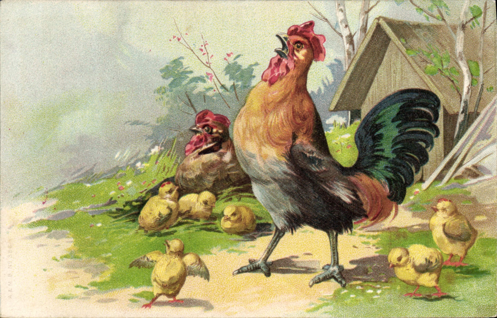 VINTAGE POSTCARD Cock Hen Chicks