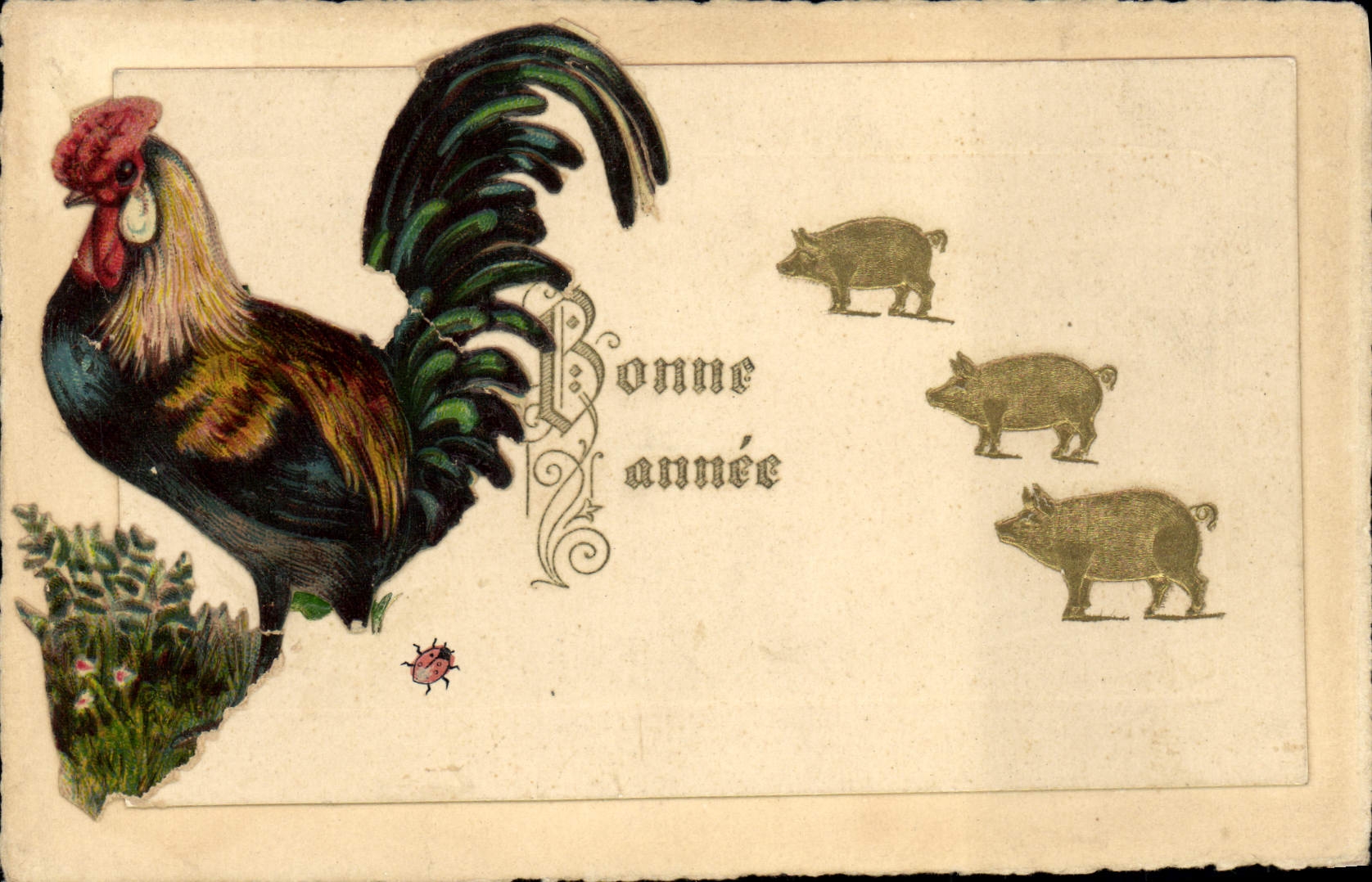 CPA Coq Chien 