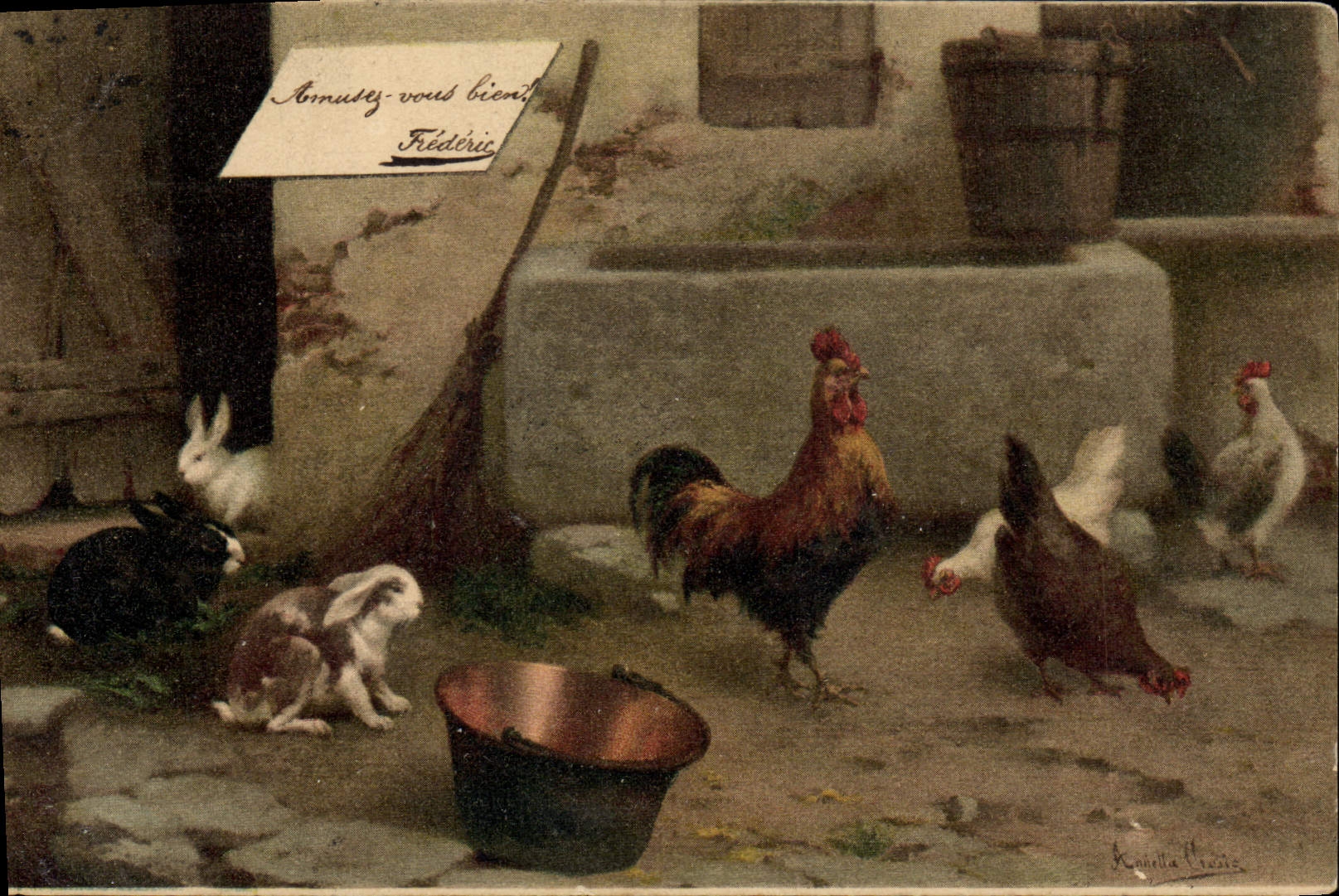 CPA Coq Poule 