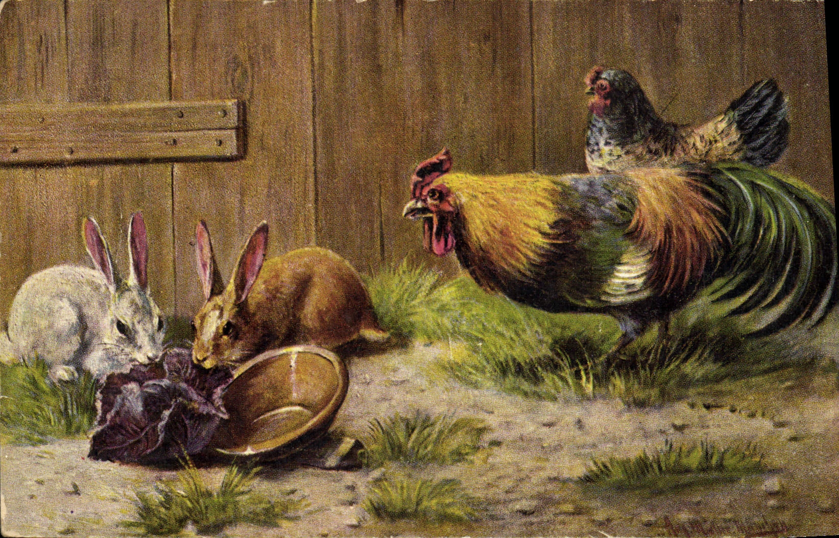 CPA Coq Poule Lapins 