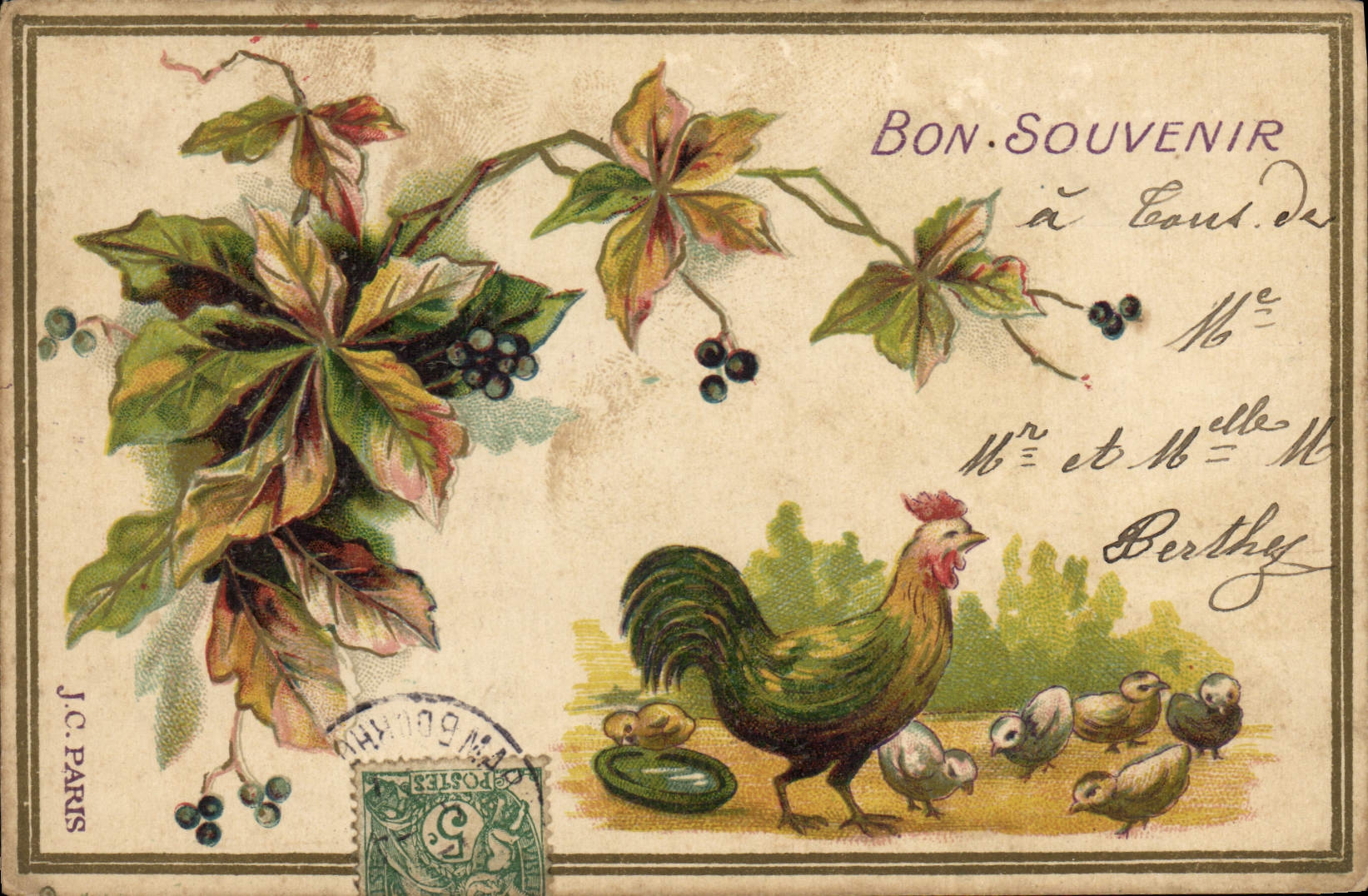CPA Coq Poussins 