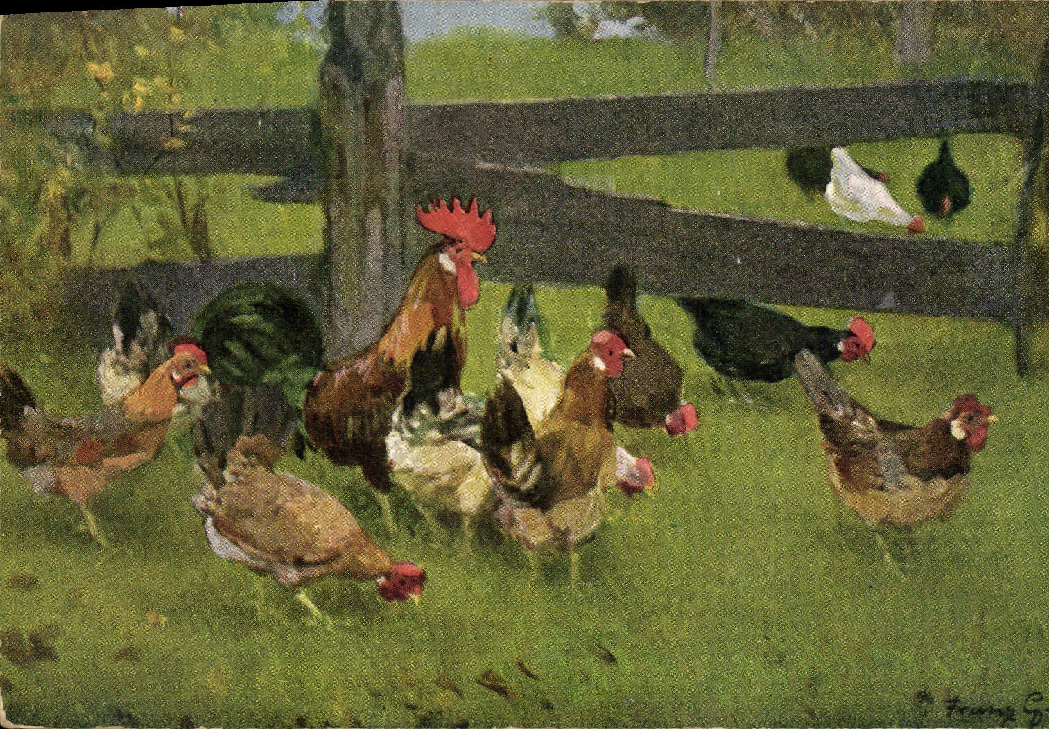CPA Coq Poule Poussins 