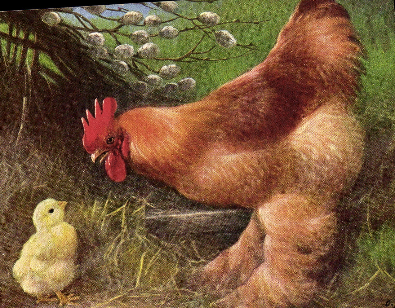 CPA Poule Poussin 