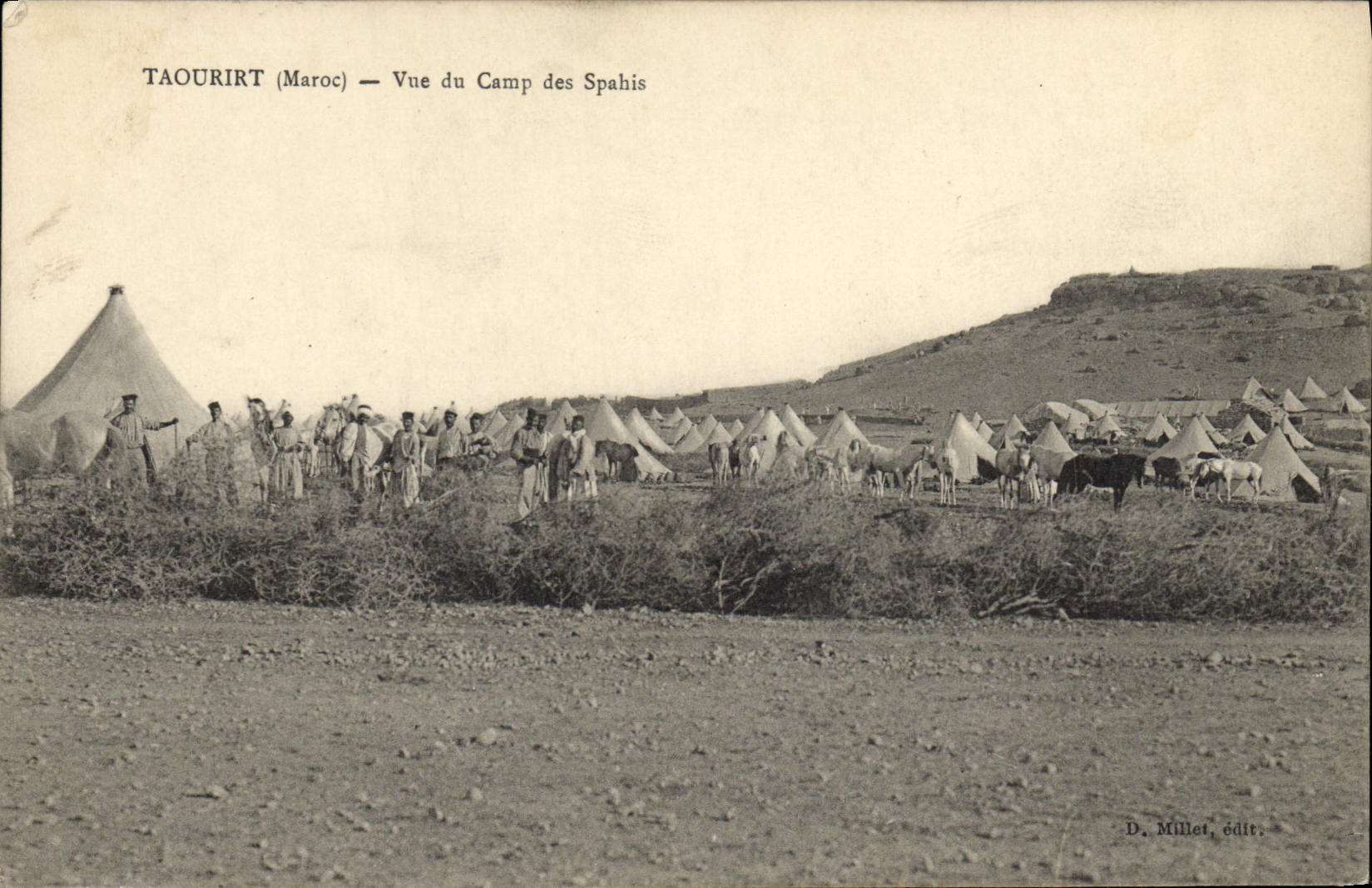 POSTAL Militaria Taourirt Marruecos de la VENDIMIA visto del campo de Spahis