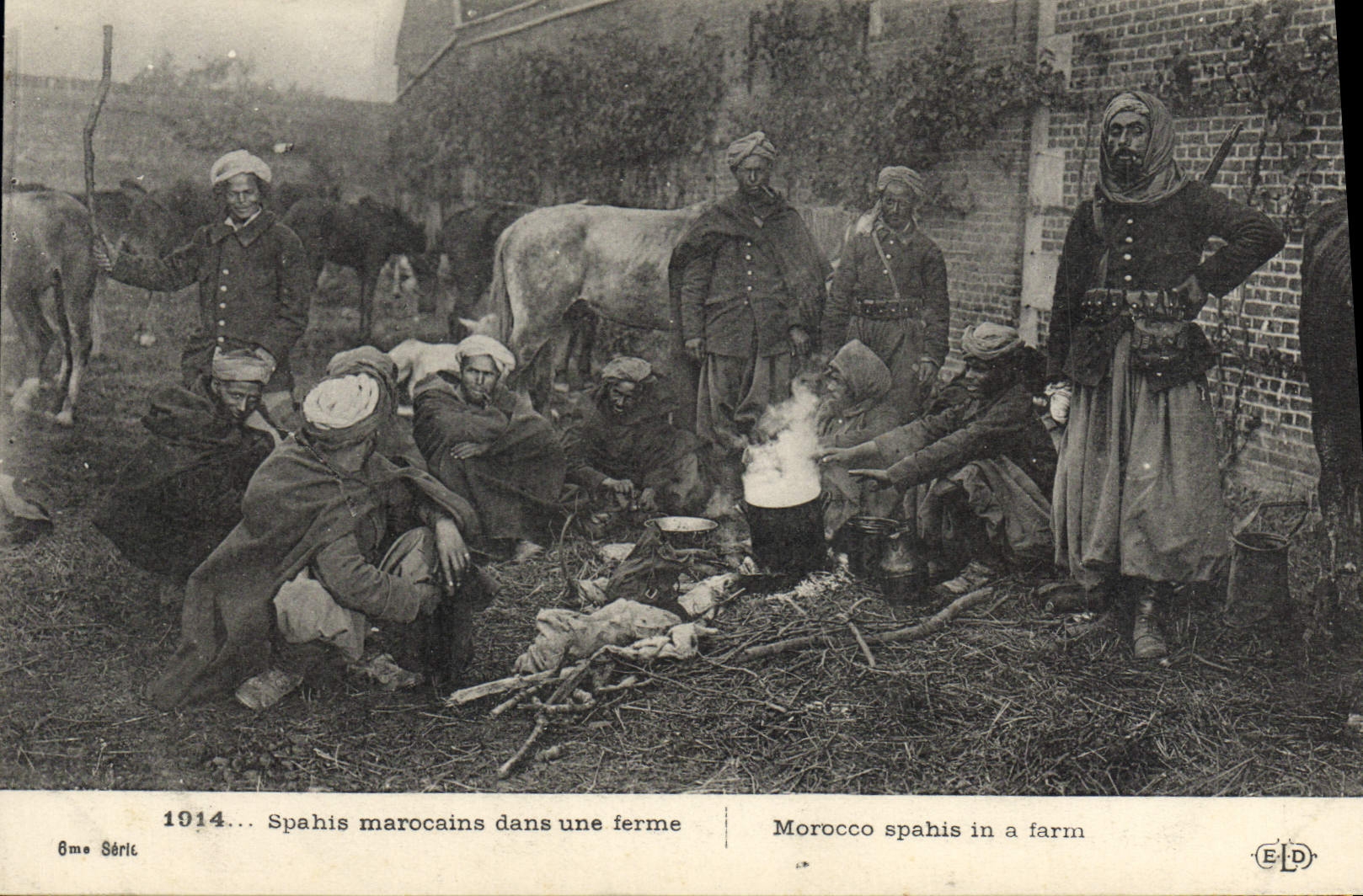 POSTAL Militaria Spahis Morrocans de la VENDIMIA en una granja