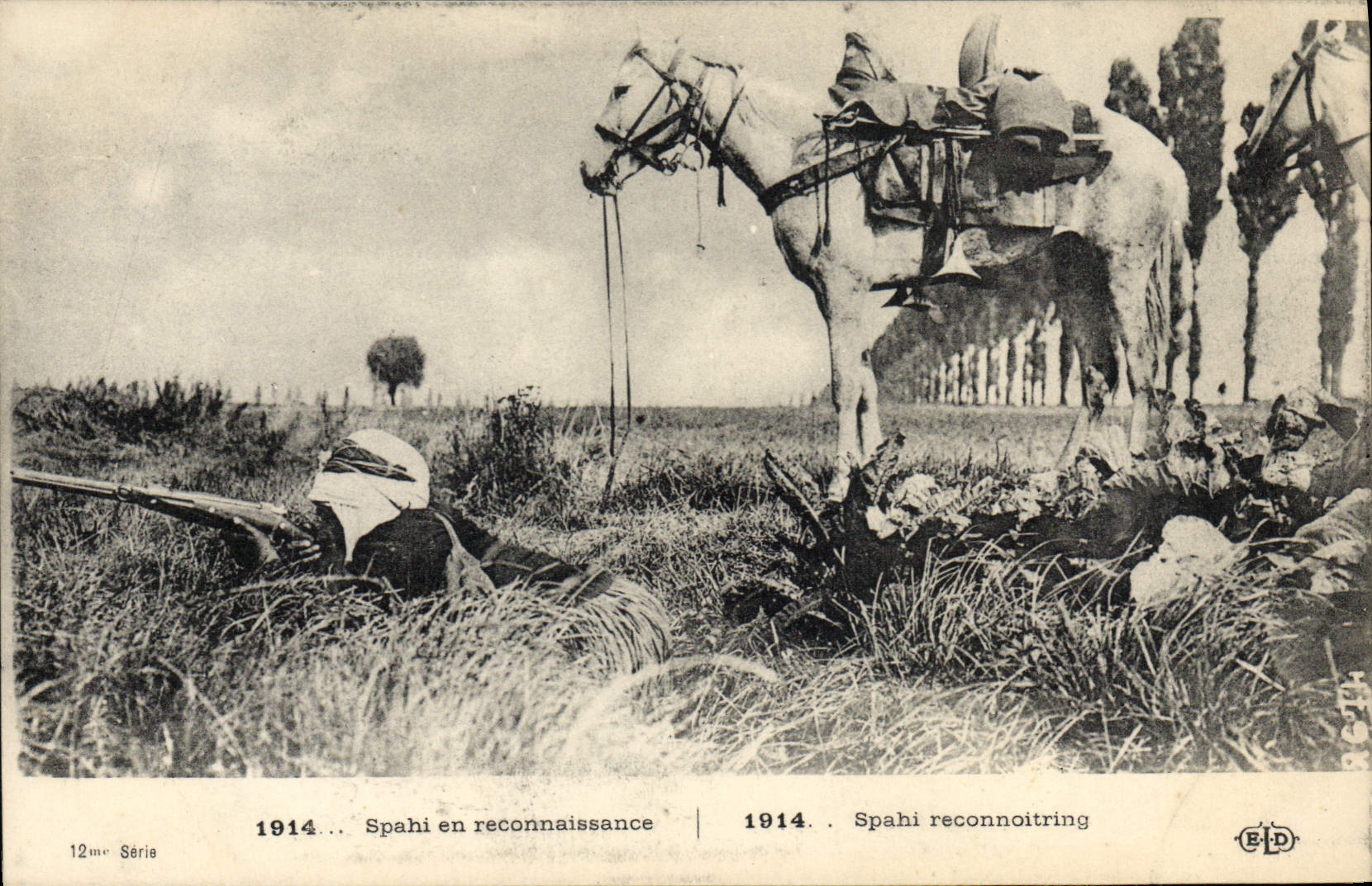 POSTAL Militaria Spahi de la VENDIMIA en el reconocimiento