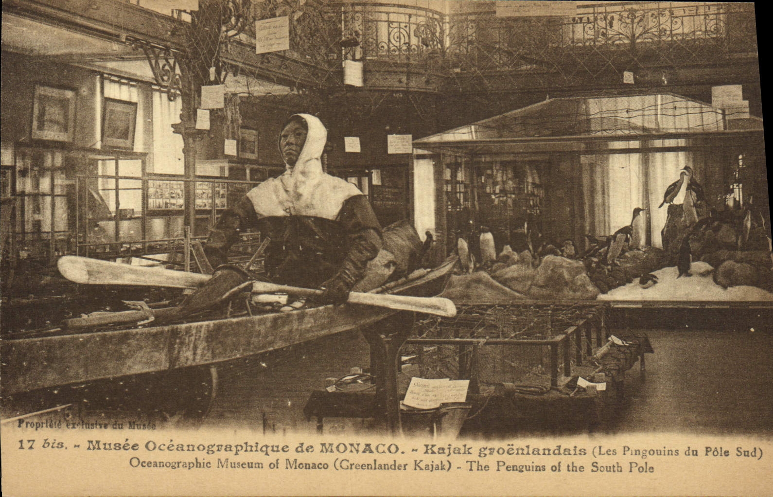 CPA Polaire Musee oceanographique de Monaco Kajak groenlandais Les pingouins du Pole Sud