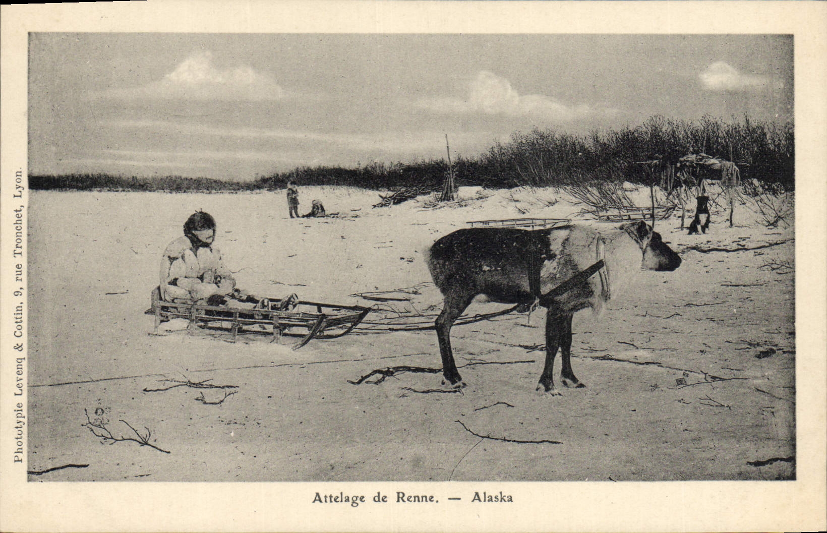 CPA Polaire Amerique du Nord Attelage de Renne Alaska