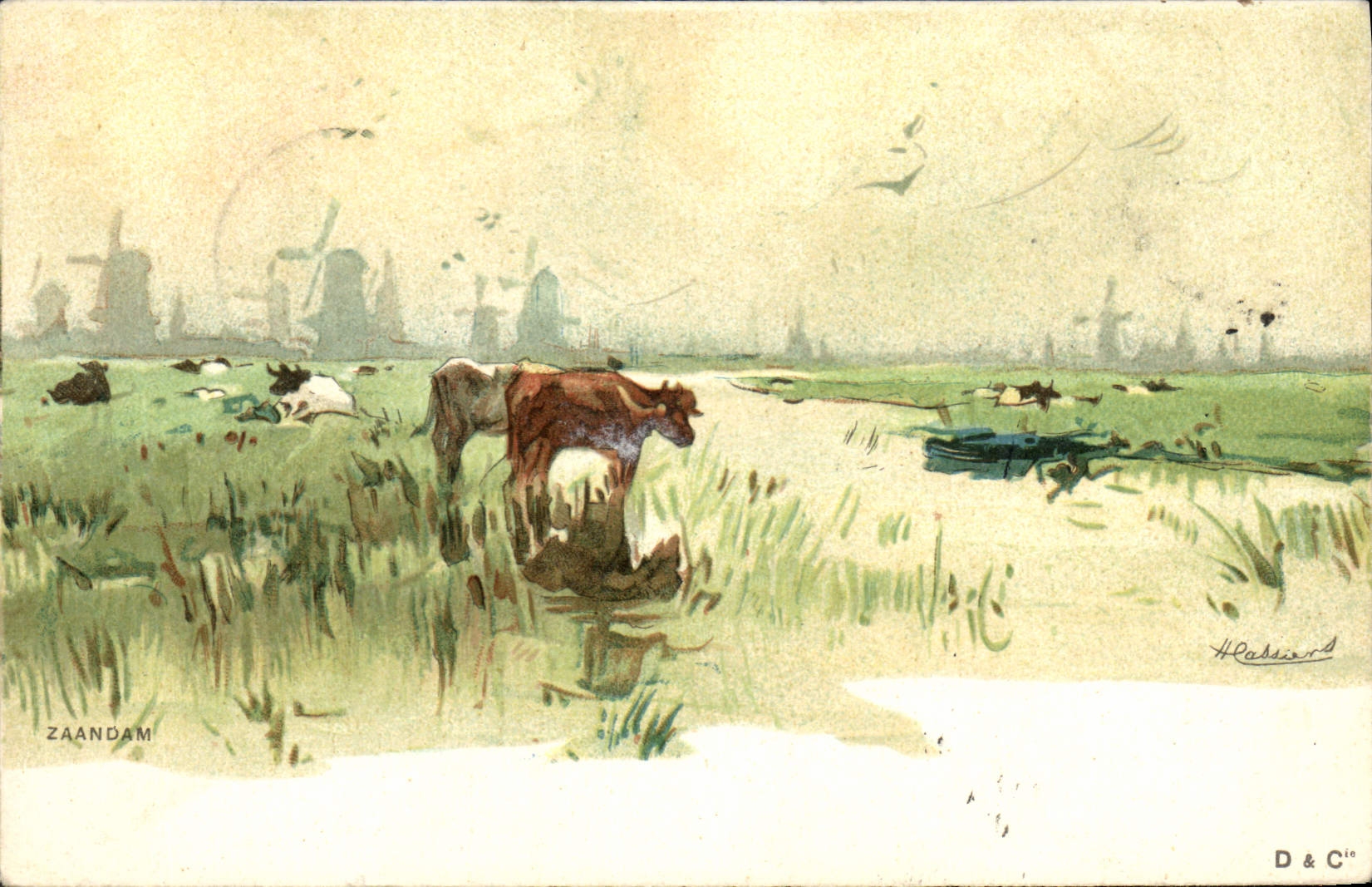 CPA Fantaisie Illustrateur Zaandam Vaches 