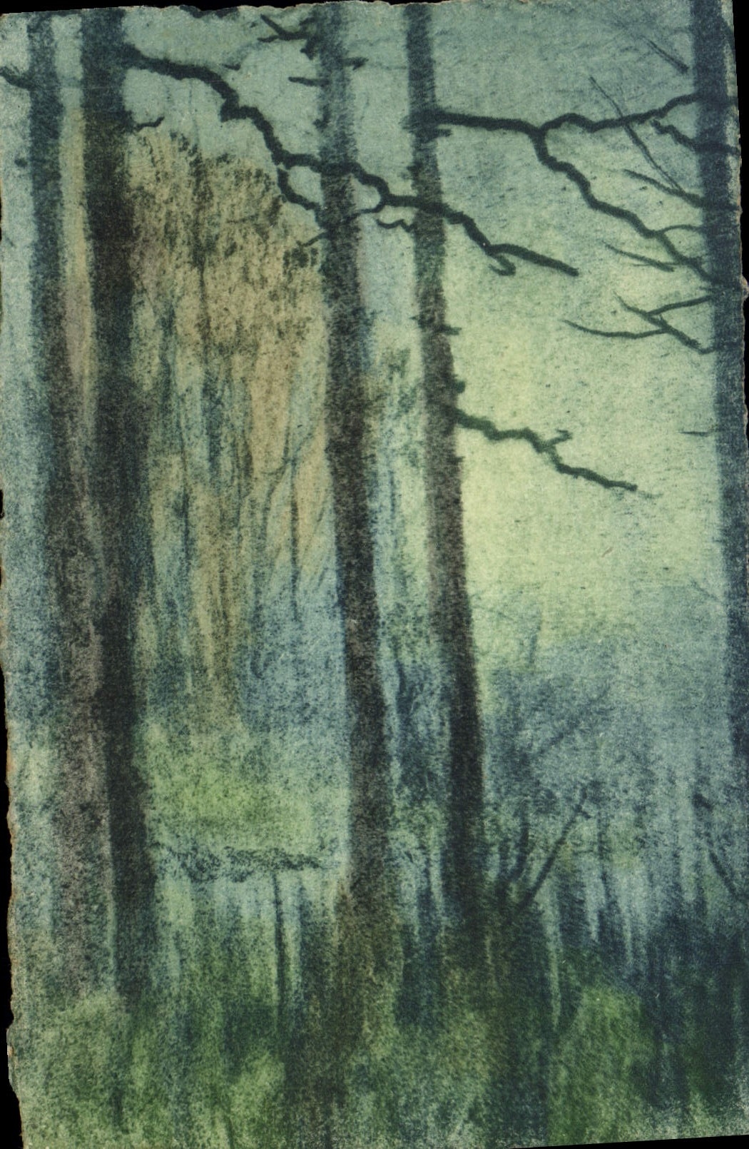 CPA (dessin la main) Arbres