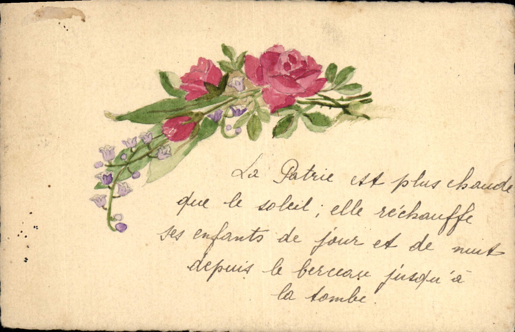 CPA (dessin la main) Fleurs