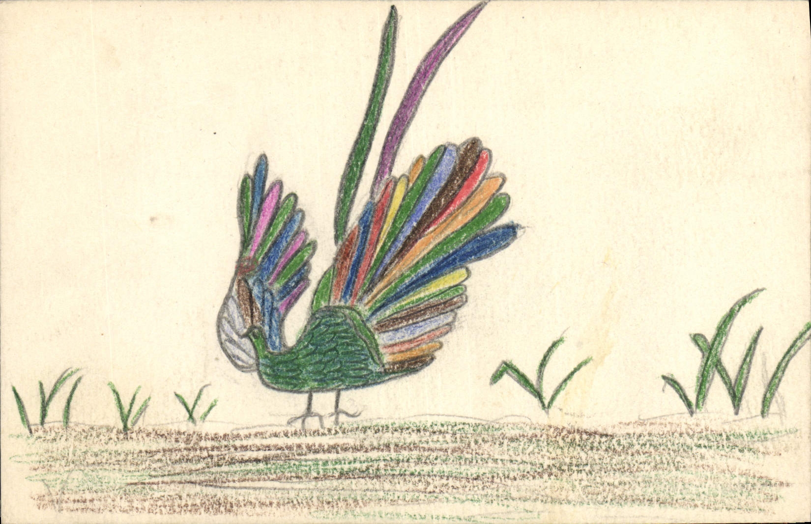 Pájaro de la POSTAL de la VENDIMIA (que dibuja la mano)