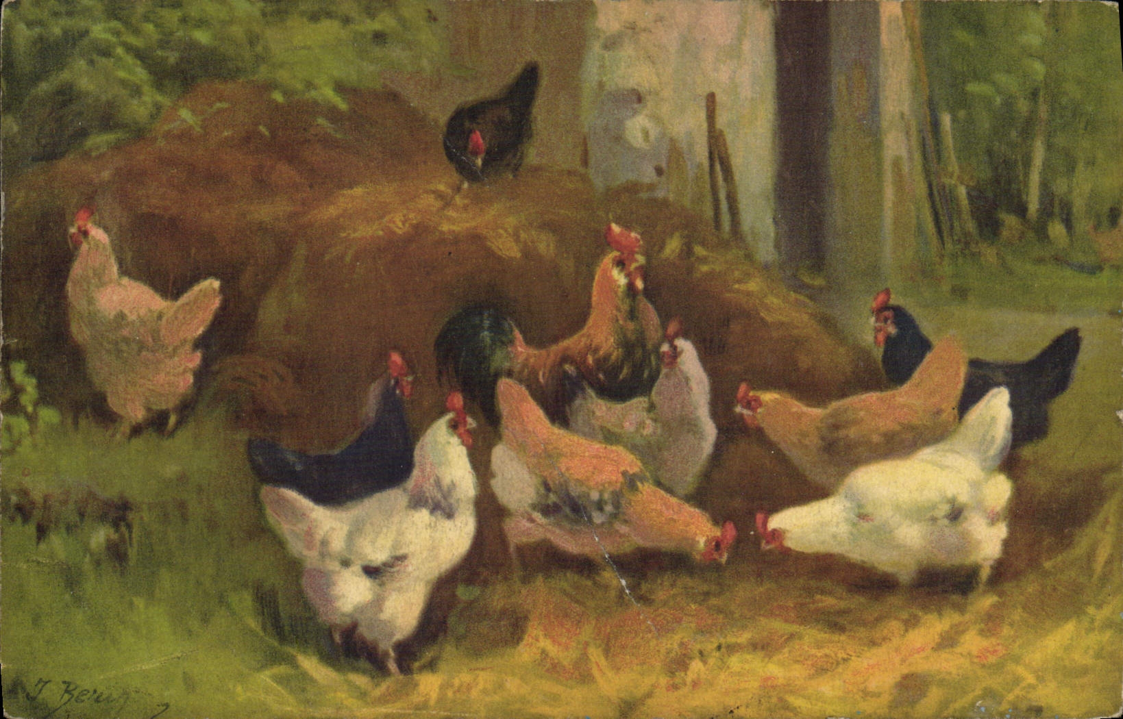 CPA Coq Poule