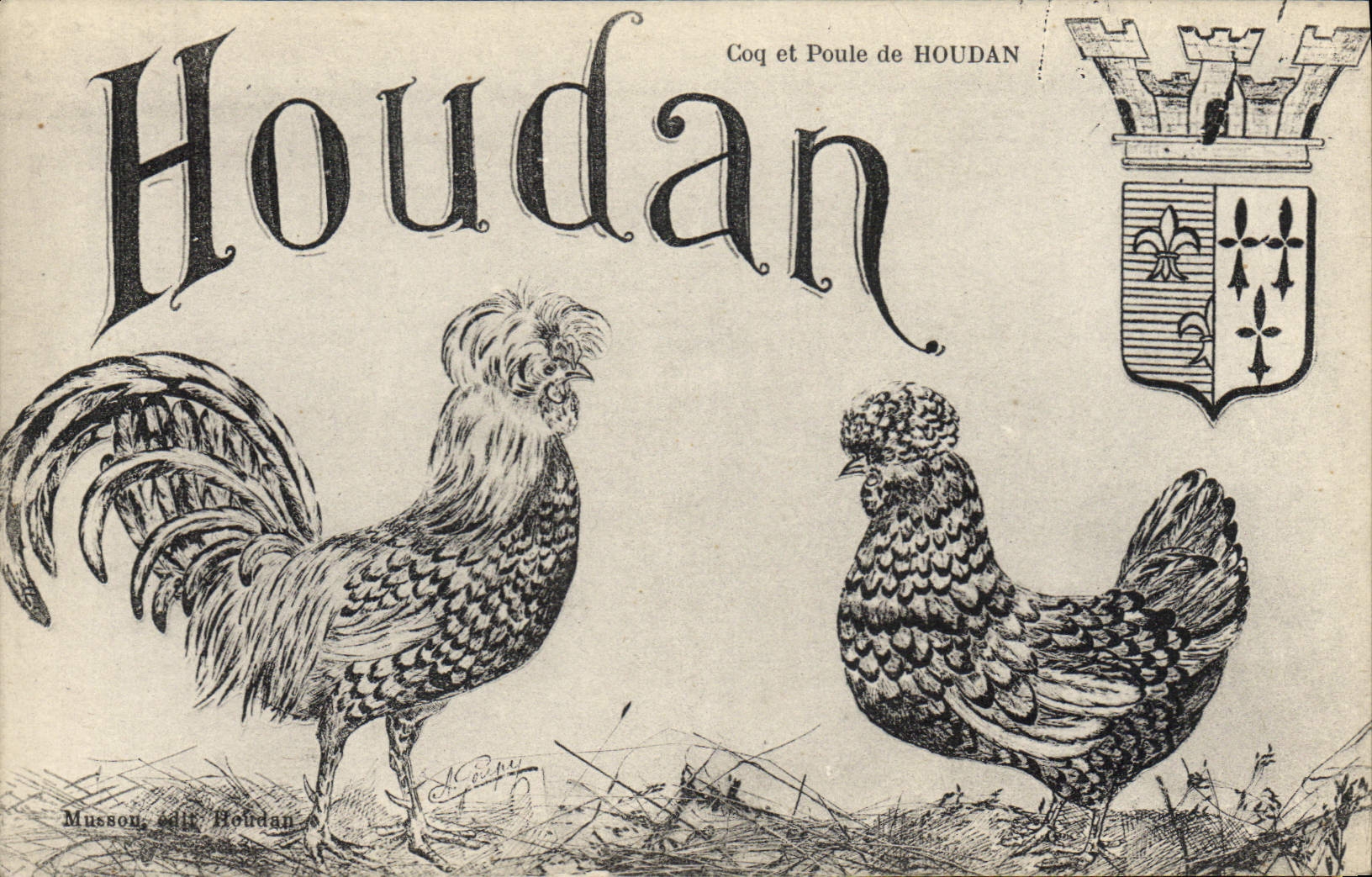 CPA Coq Poule Houdan Coq et poule de Houdan