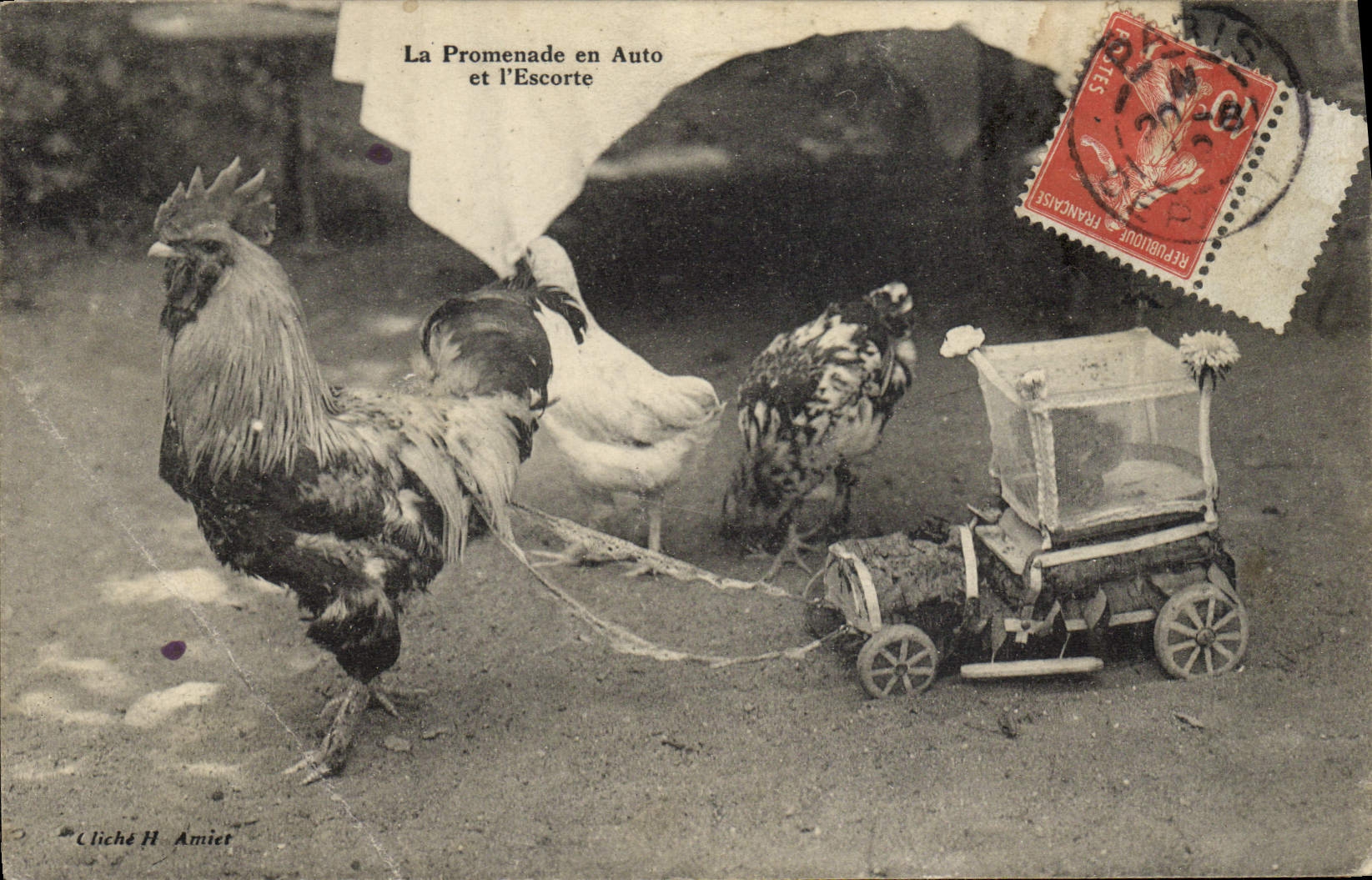 CPA Coq Poule La promenade en auto et l'escorte