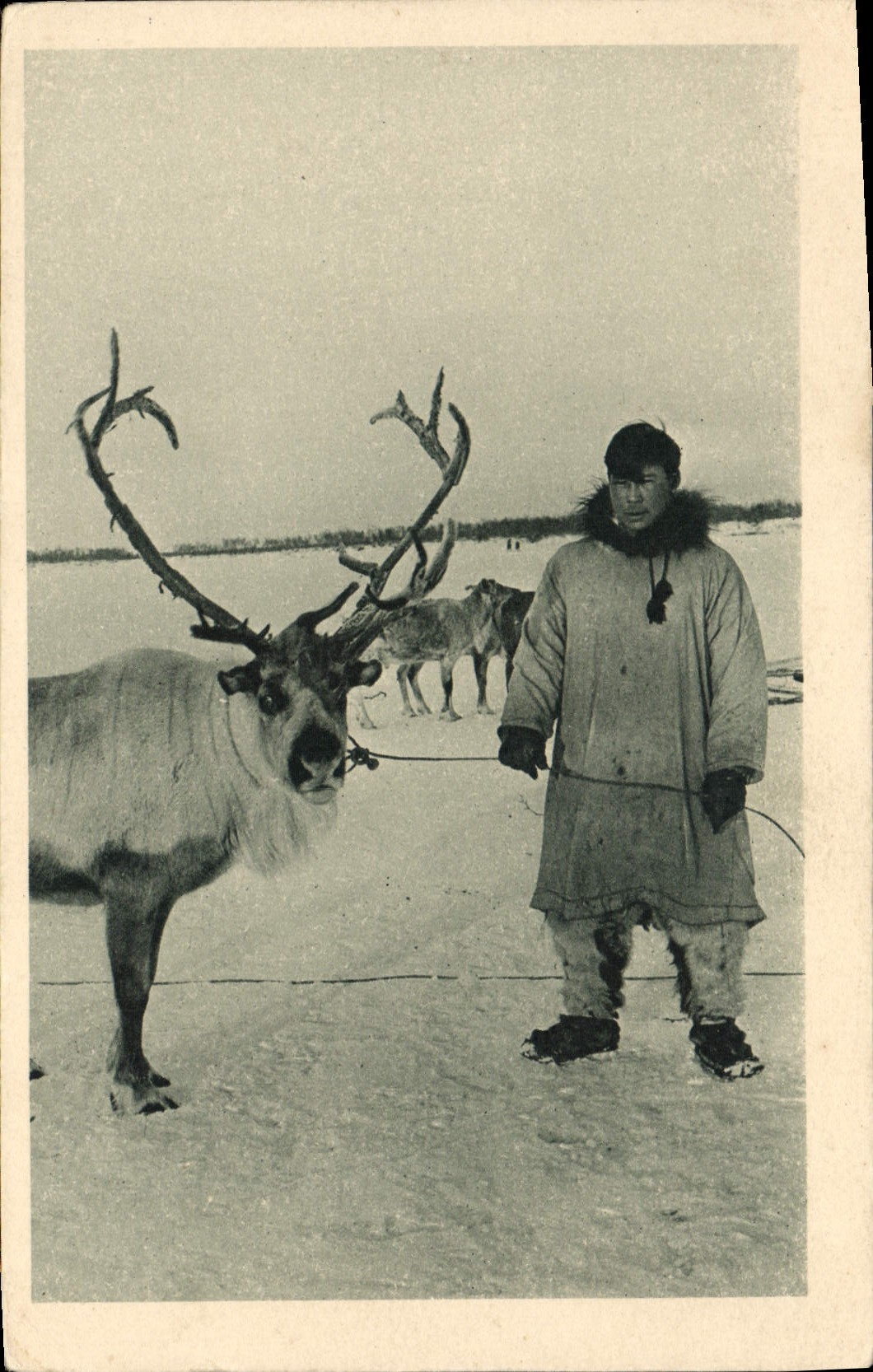 POSTAL de la VENDIMIA polar un reno y su amo