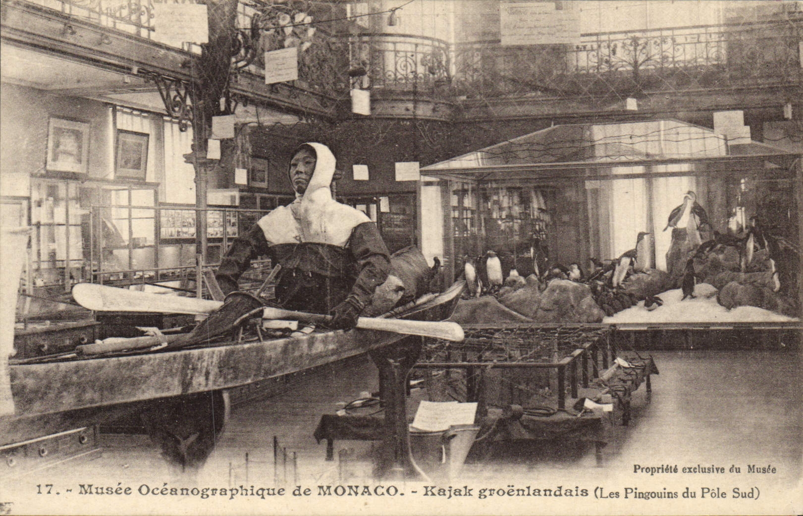 CPA Polaire Musee oceanographique de Monaco Kajak groenlandain Les Pingouins du Pole Sud