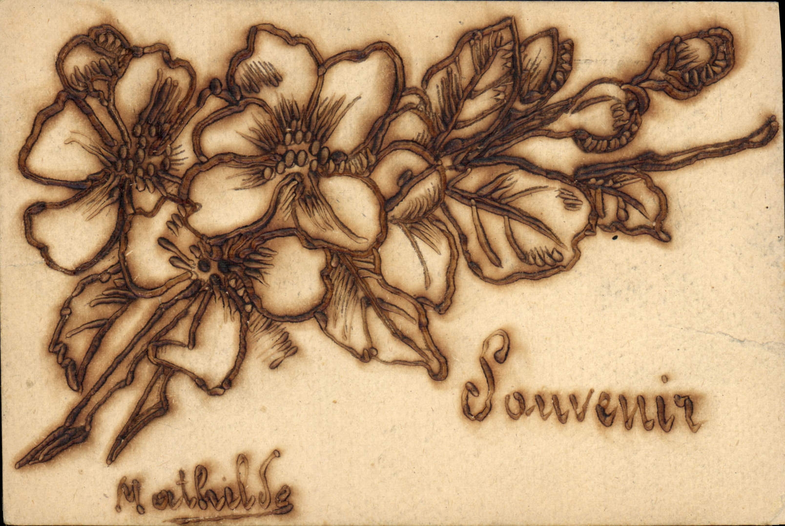 CPA Fantaisie Fleurs 