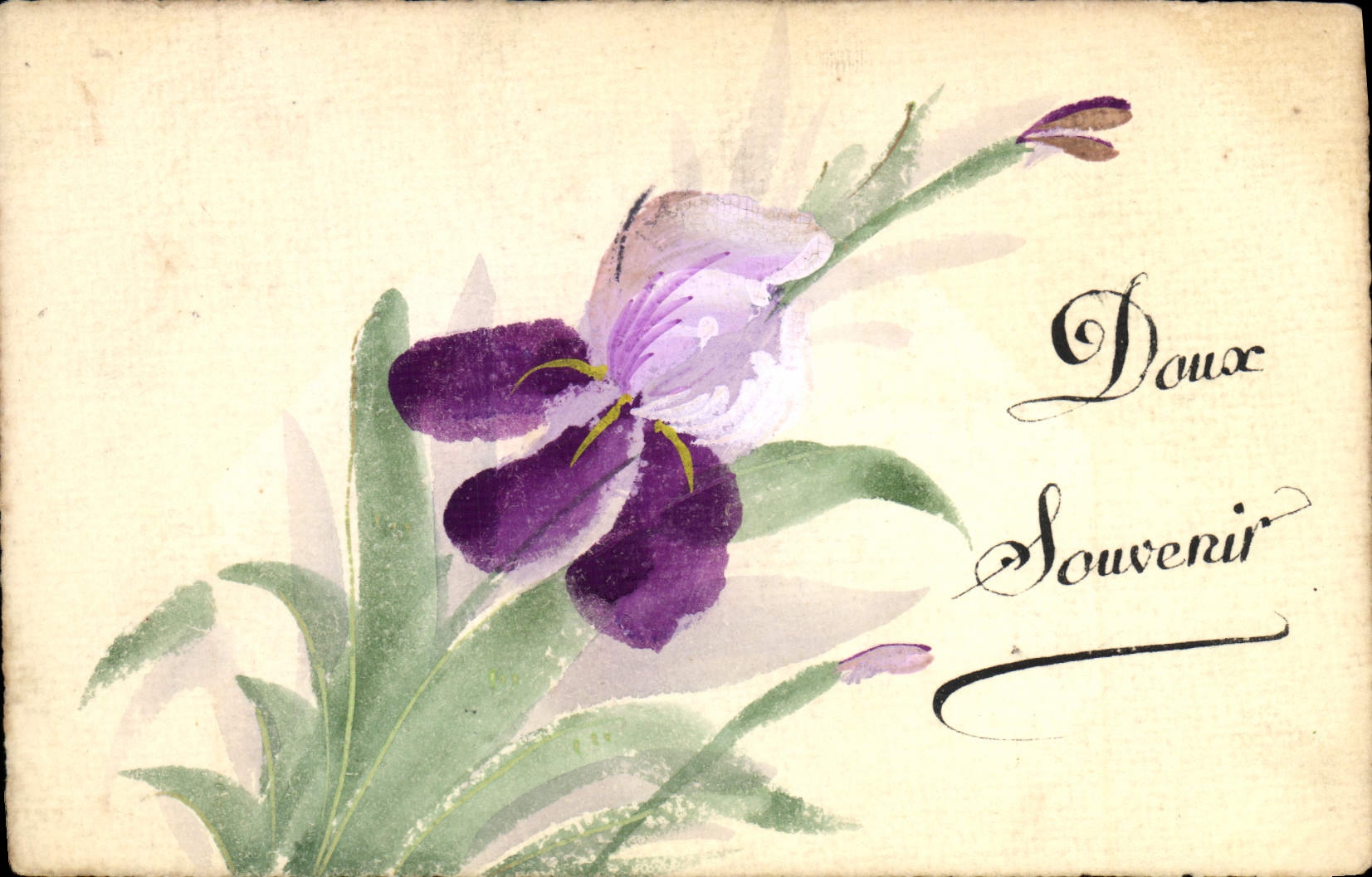 CPA (dessin la main) Fleurs