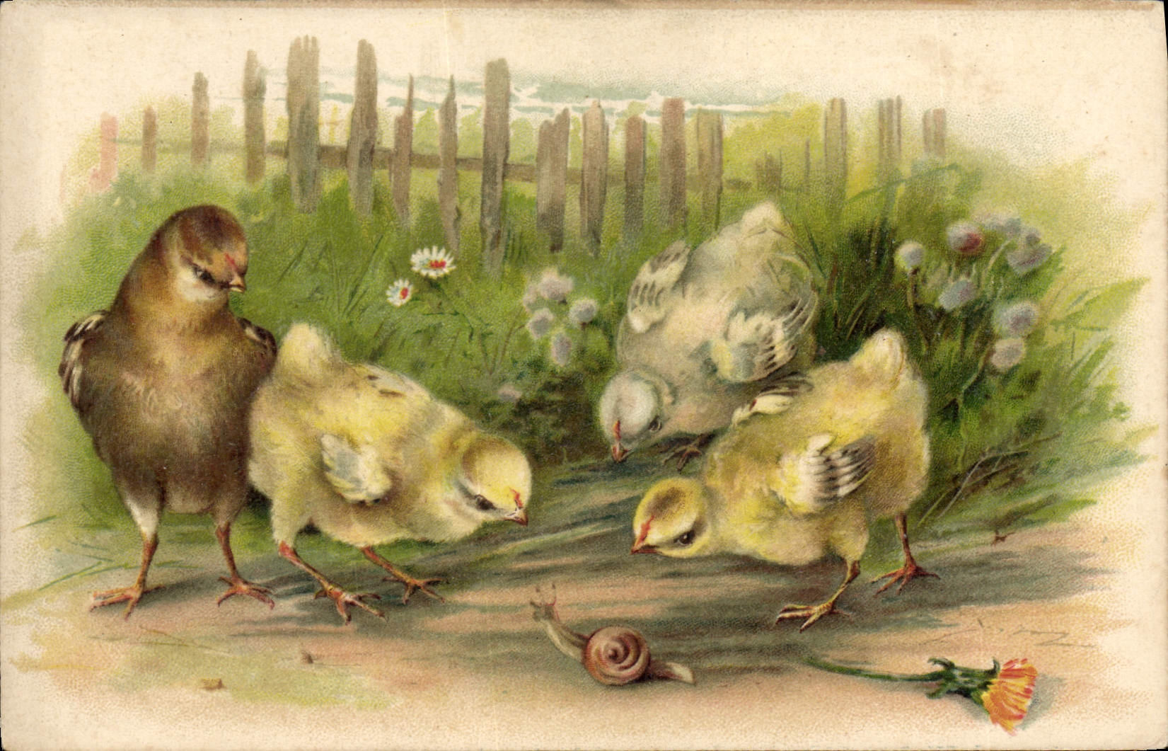 VINTAGE POSTCARD Snail Chicks