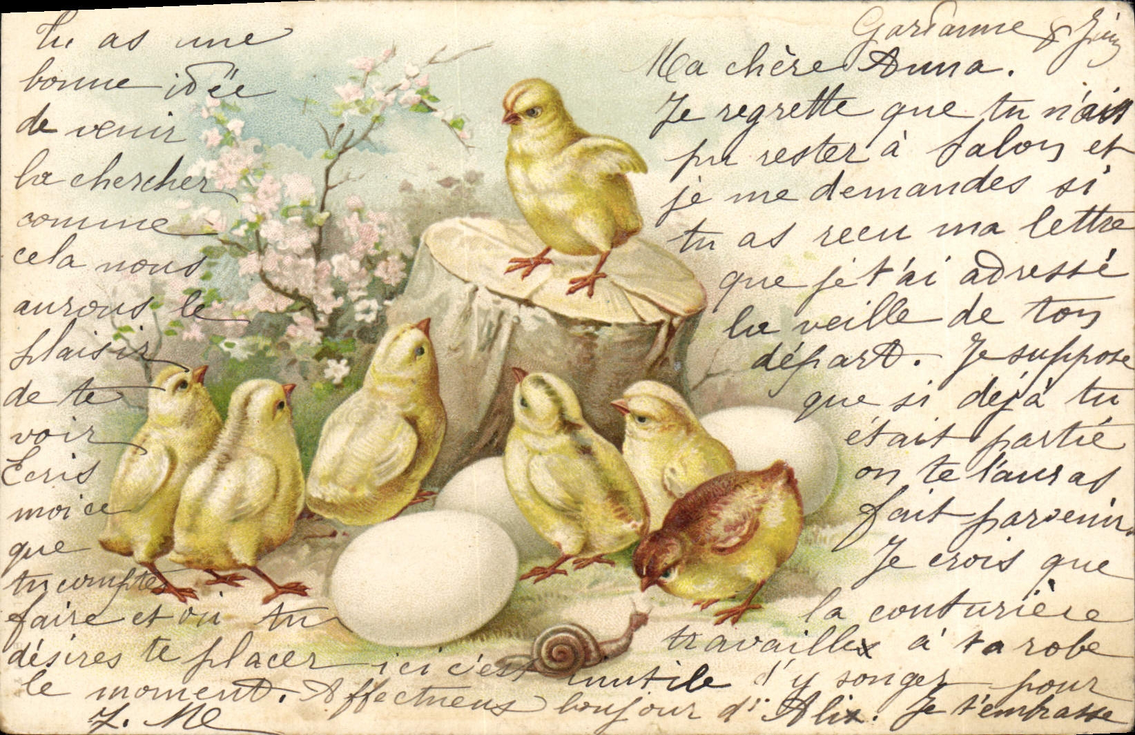 CPA Escargot Poussins Oeufs