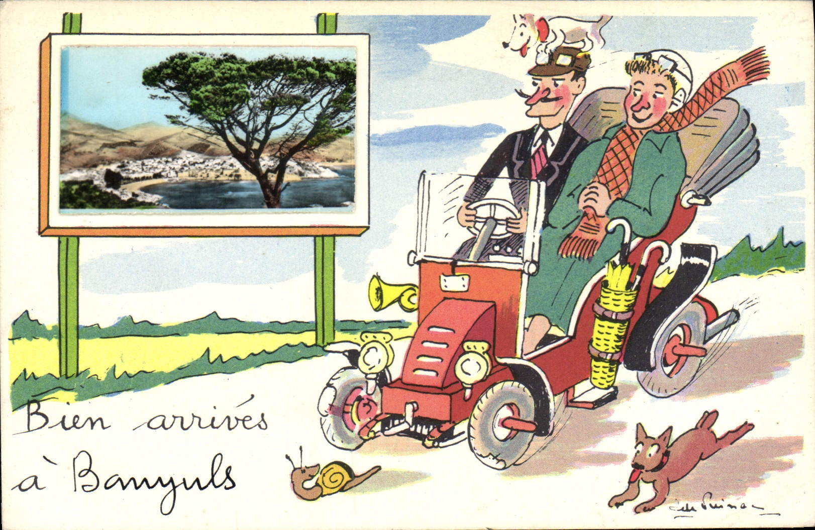 VINTAGE POSTCARD Automobile Banyuls Snail Dog