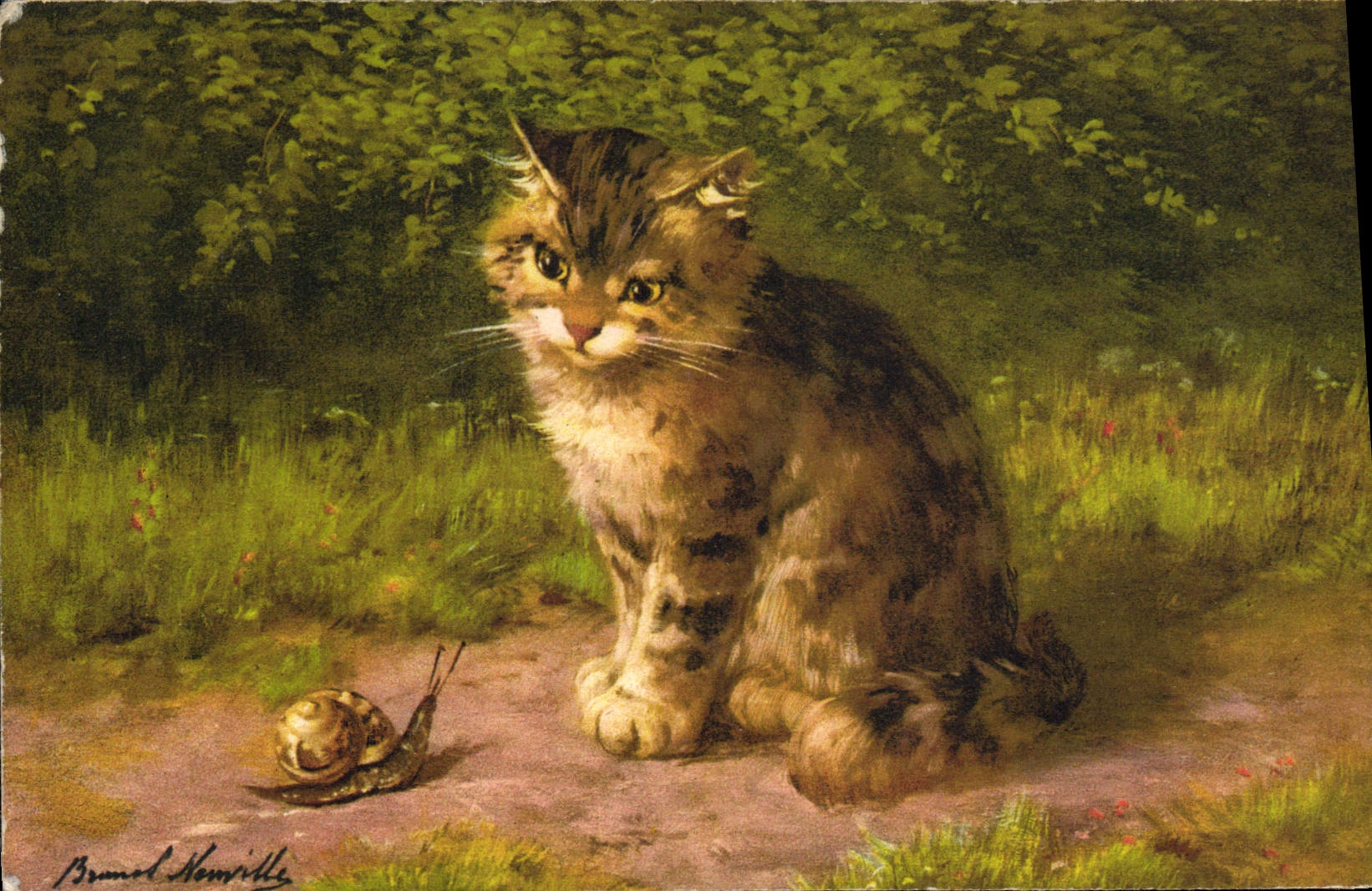 VINTAGE POSTCARD Snail Cat Kitten