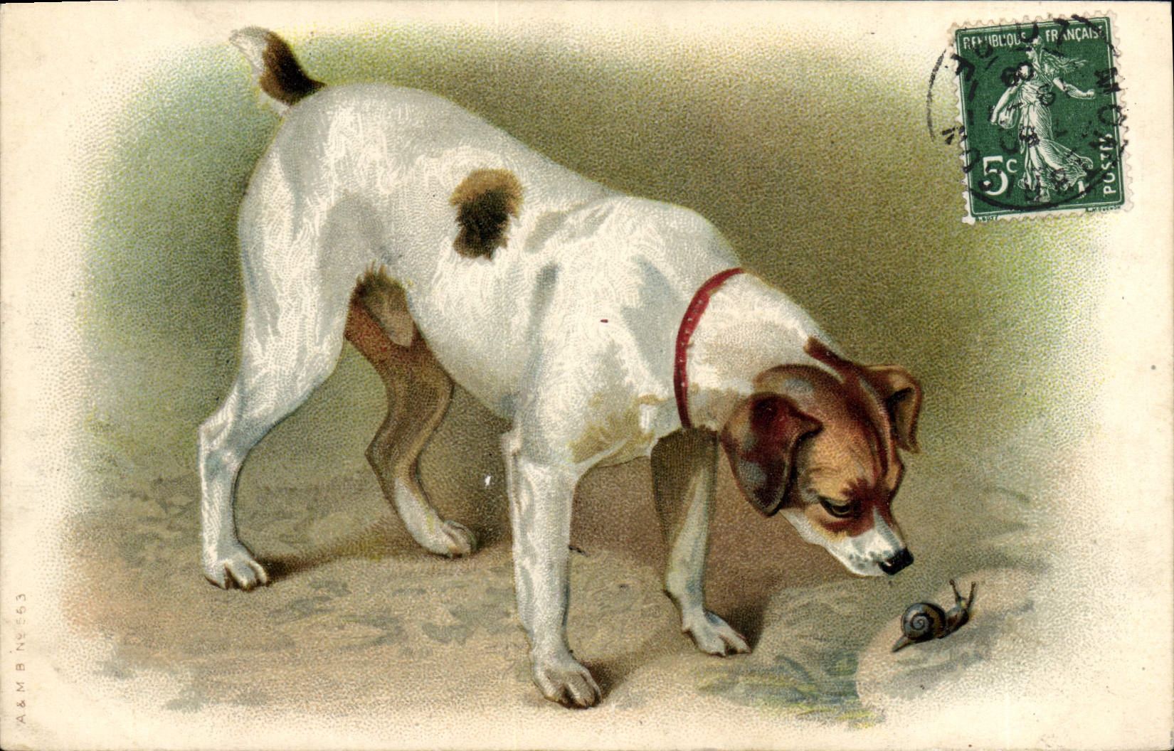 VINTAGE POSTCARD Snail Dog