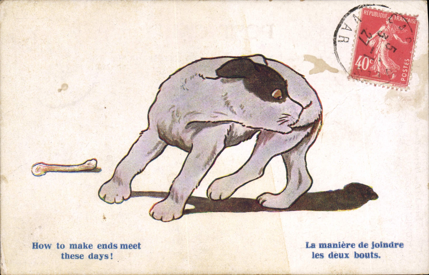 VINTAGE POSTCARD Dog