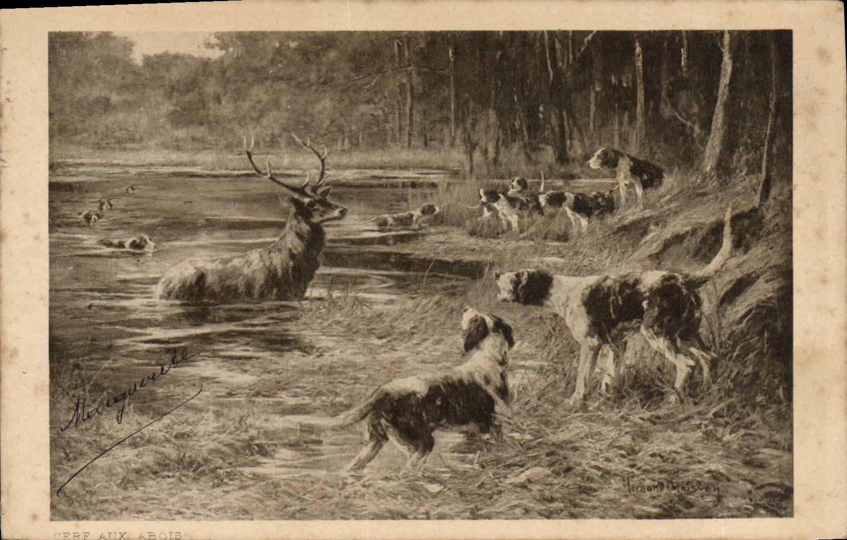 Macho de Hallali de la caza del perro de los perros de la POSTAL de la VENDIMIA