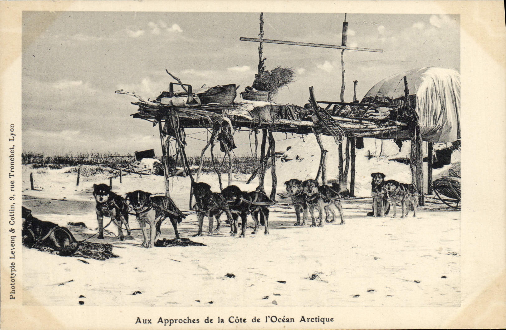 CPA Polaire Aux approches de la Cote de l'Ocean Arctique Chiens