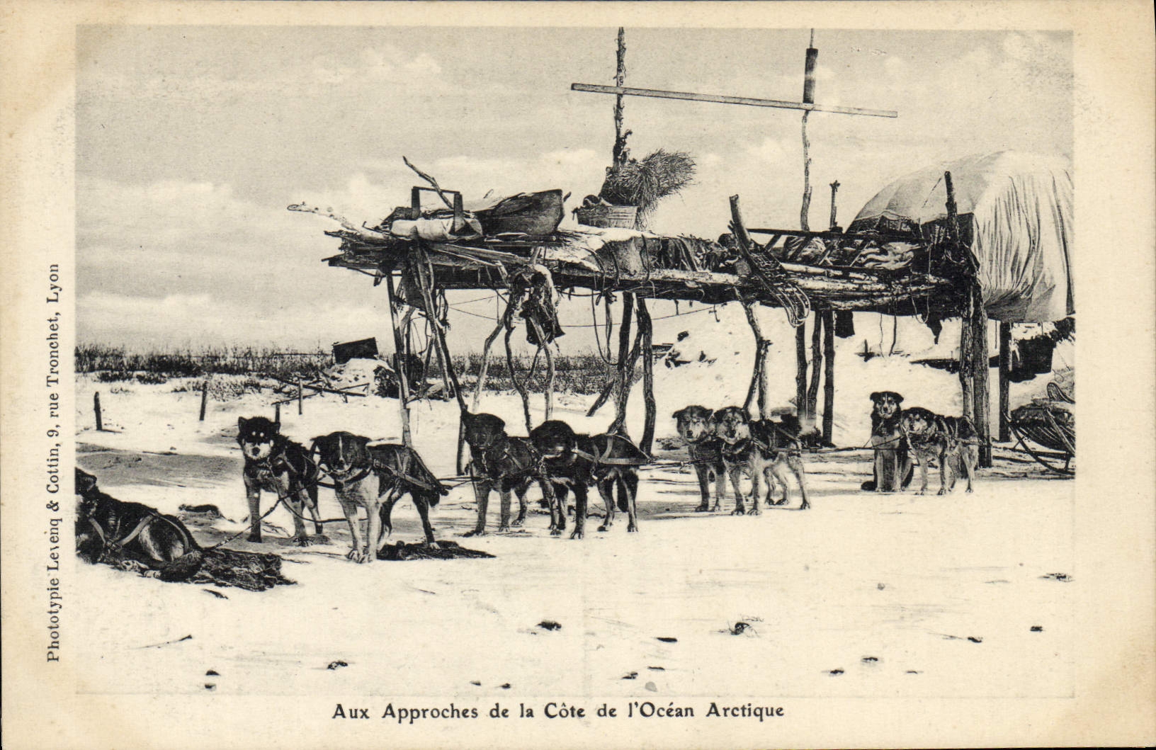 VINTAGE POSTCARD Polar With the approaches of the Arctic Ocean Dogs