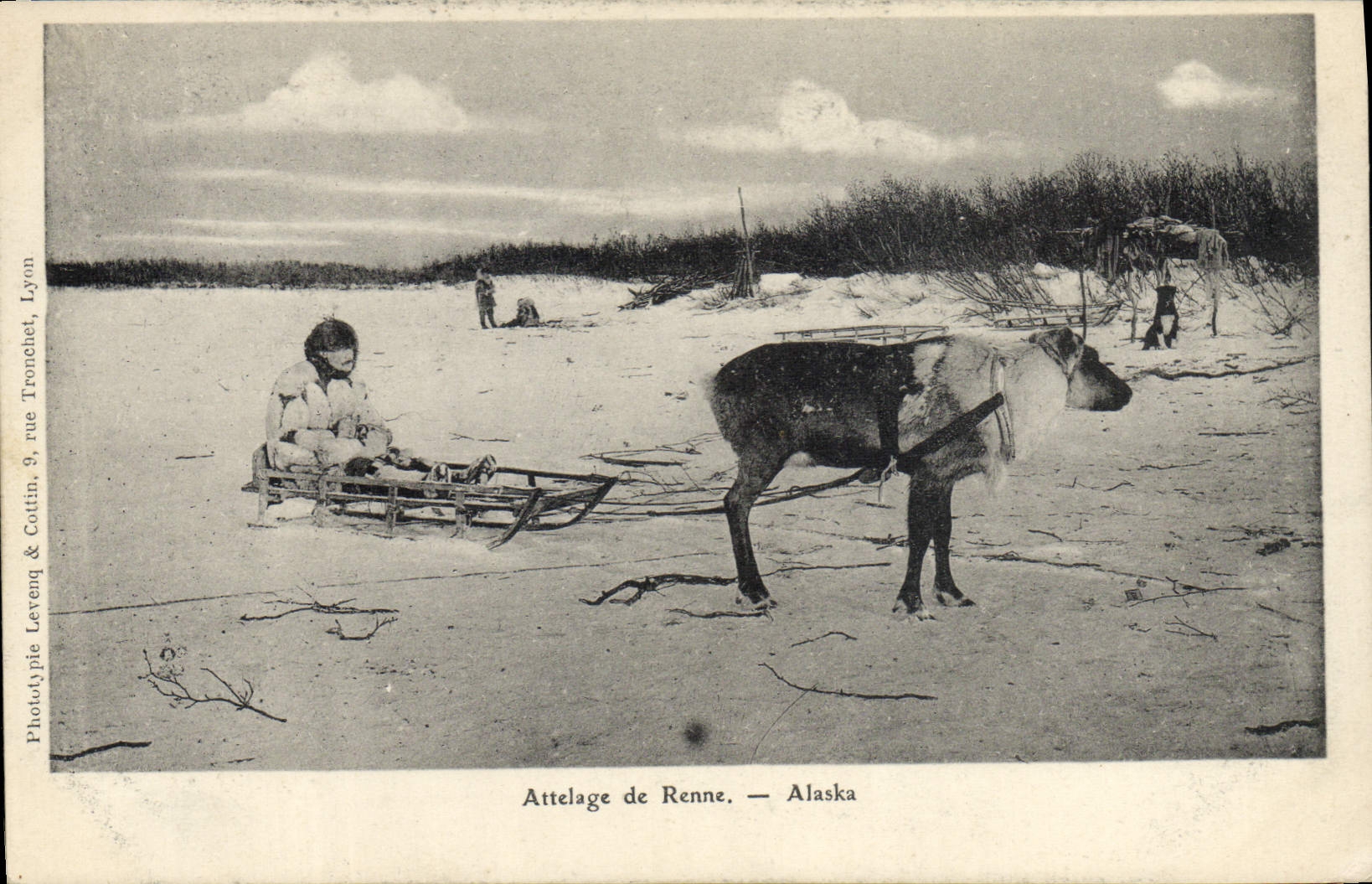 VINTAGE POSTCARD Polar North pole Coach of Alaska Reindeer