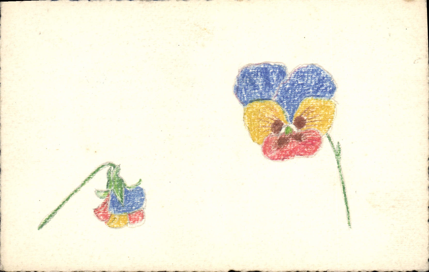 CPA Fantaisie (dessin a la main) Fleurs