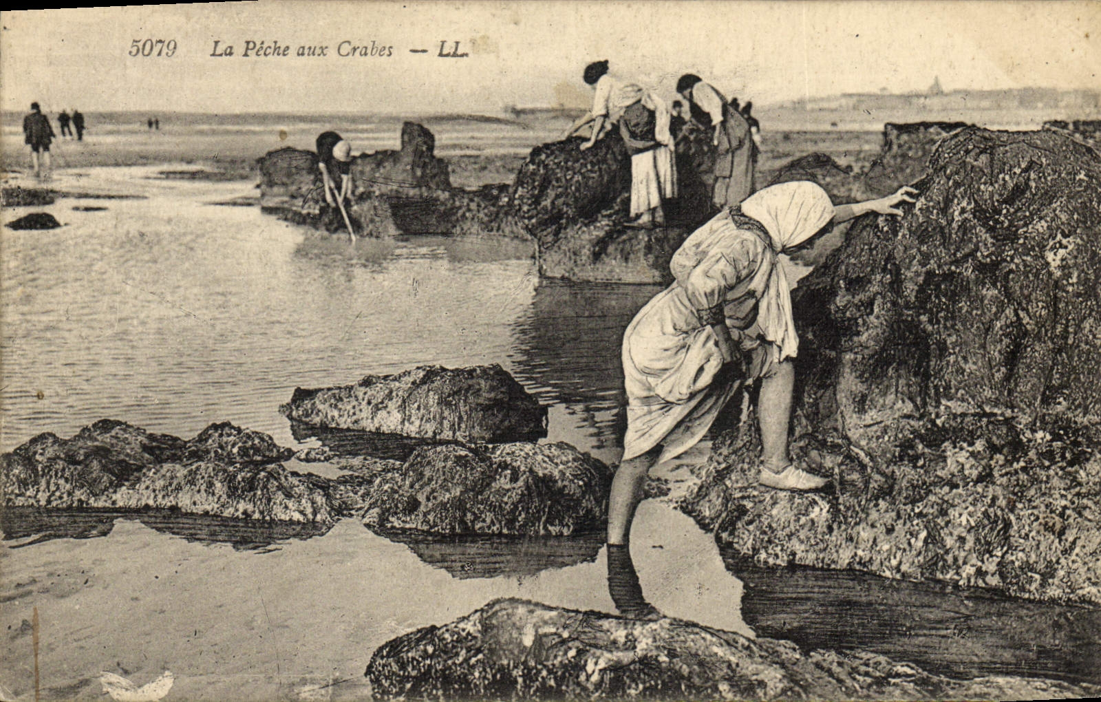 Pesca de la pesca de la POSTAL de la VENDIMIA con los cangrejos