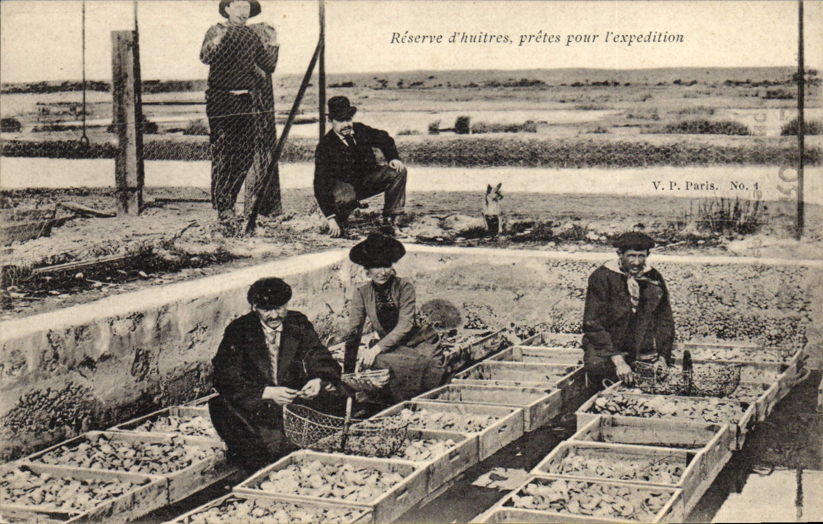CPA Peche Reserve d'huitres pretes pour l'expedition