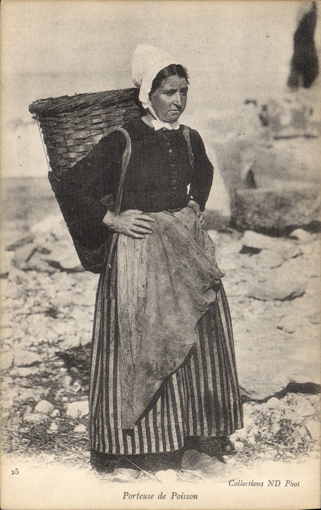 Pescados que llevan de la pesca de la POSTAL de la VENDIMIA