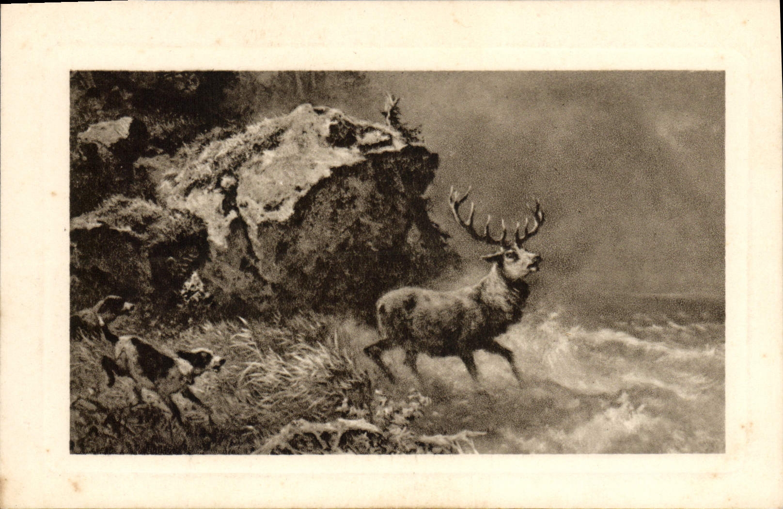 CPA Chiens Chien Chasse a courre Cerf