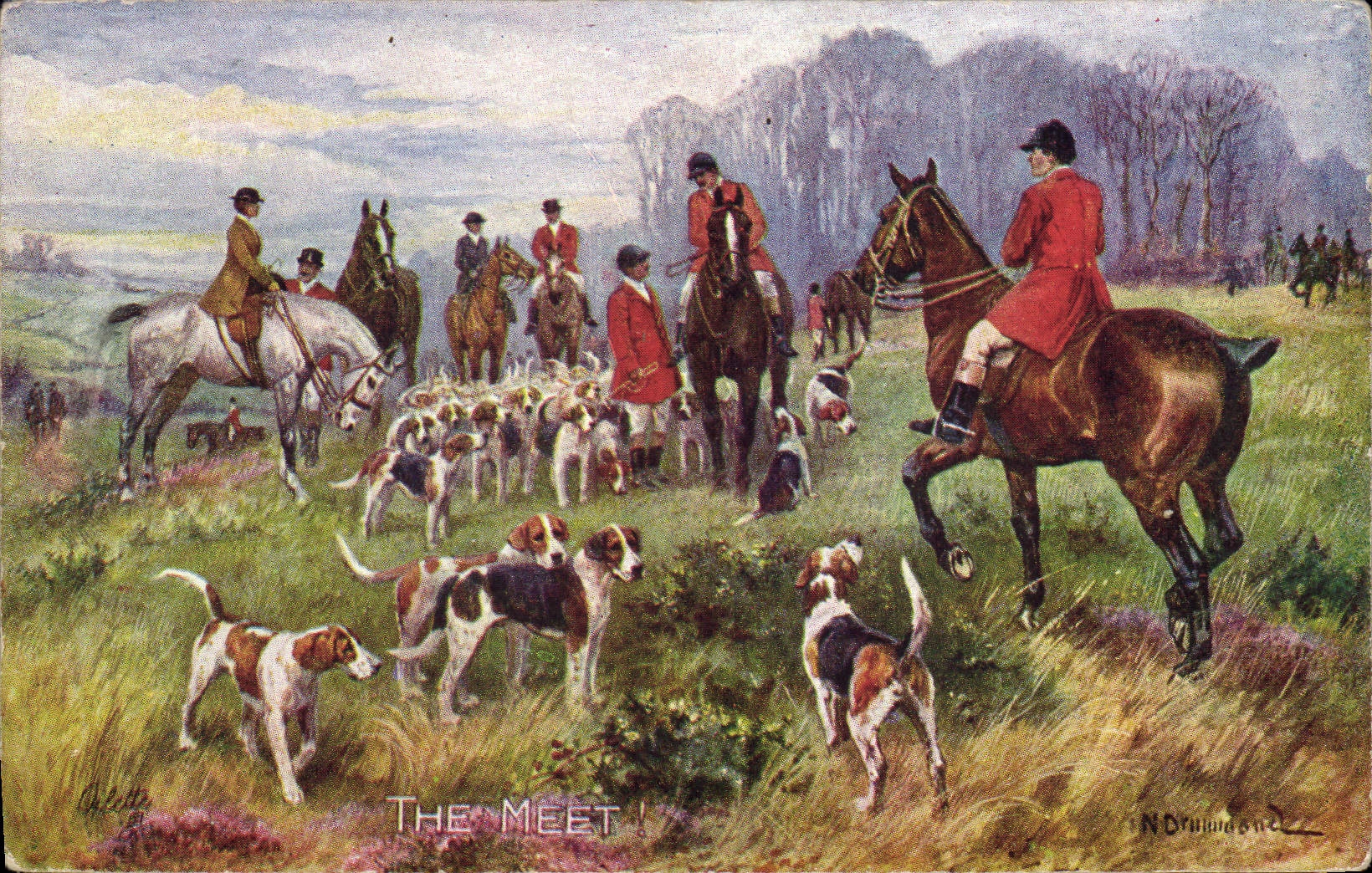 CPA Chiens Chien Chasse a courre Cavaliers The meet