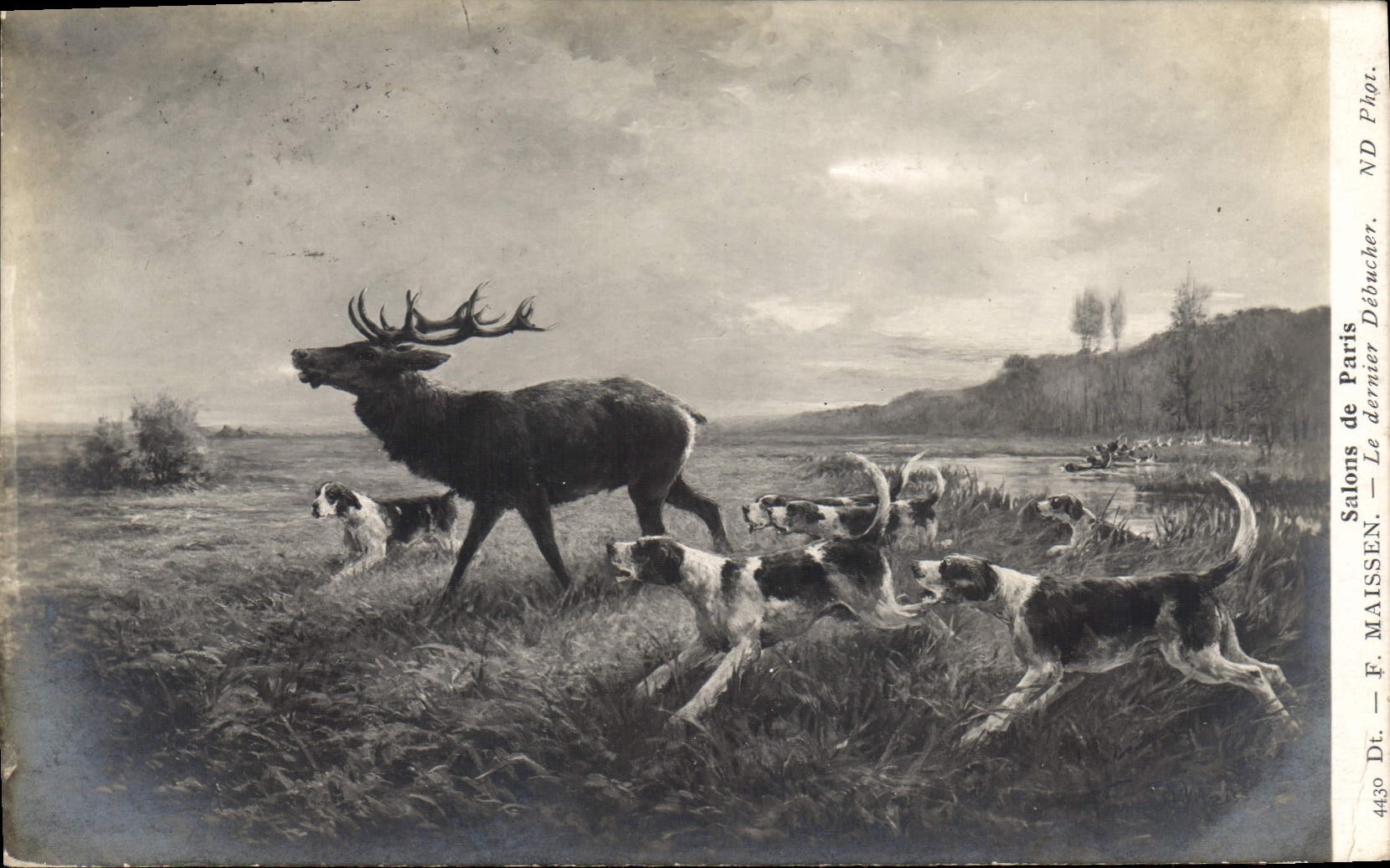 CPA Chiens Chien Chasse a courre Salons de Paris Maissen Le dernier debucher