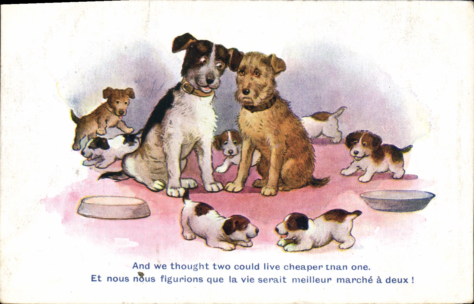 VINTAGE POSTCARD Dogs Dog Pups
