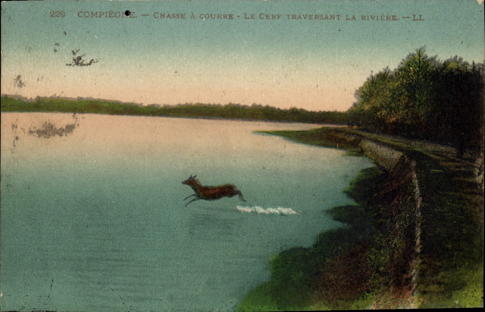 CPA Chasse a courre Compiegne Le cerf traversant la riviere